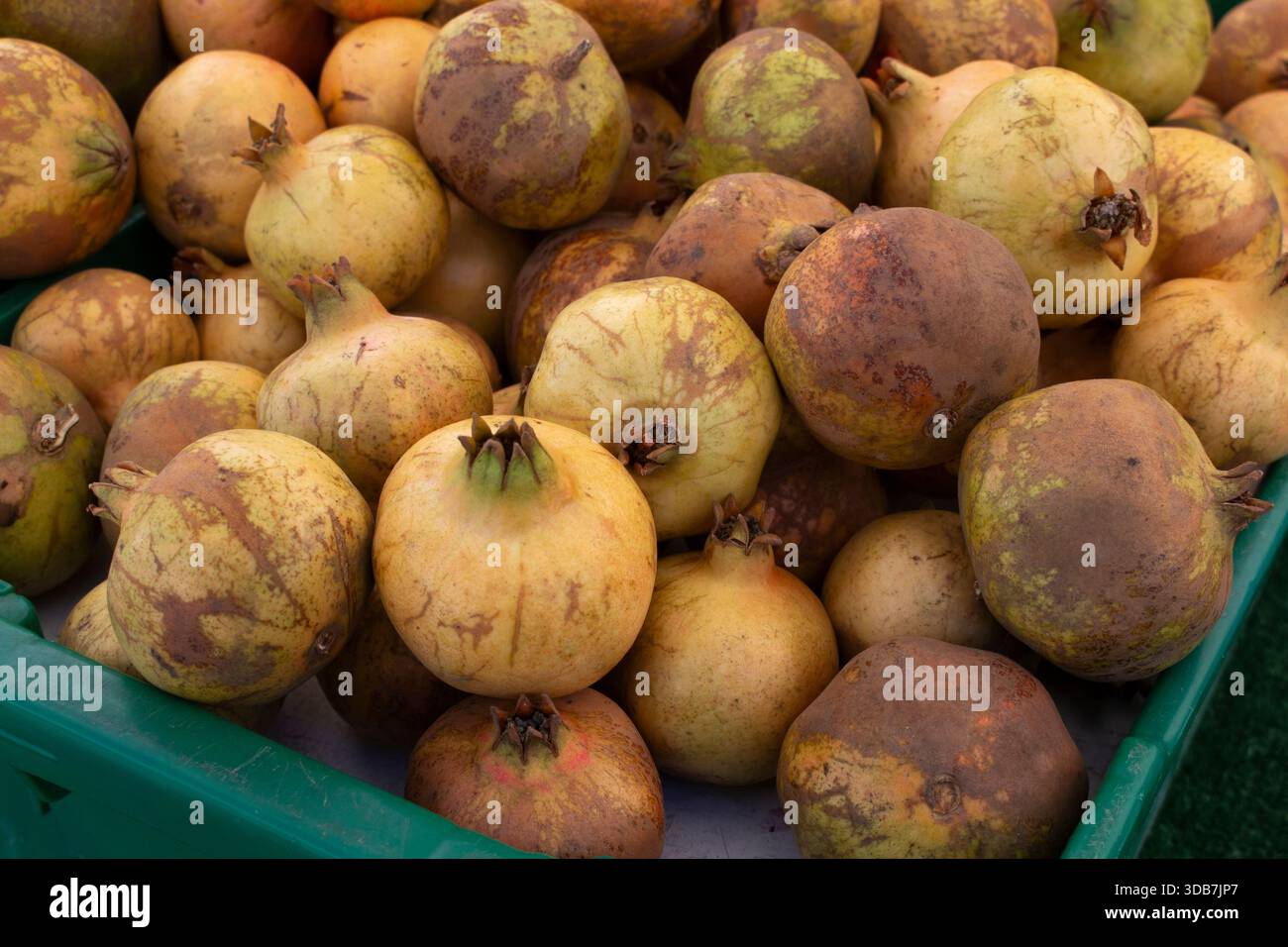 Une vue d'un tas de grenade blanche, exposée sur un marché fermier local. Banque D'Images