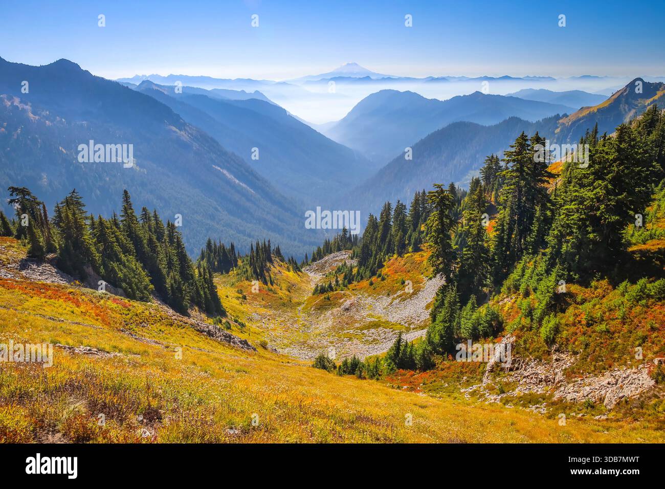 Une vue panoramique époustouflante depuis la selle de Pinnacle Peak révèle les pentes bleues de Mazama Ridge et le lointain et imposant Mont Adams. Banque D'Images