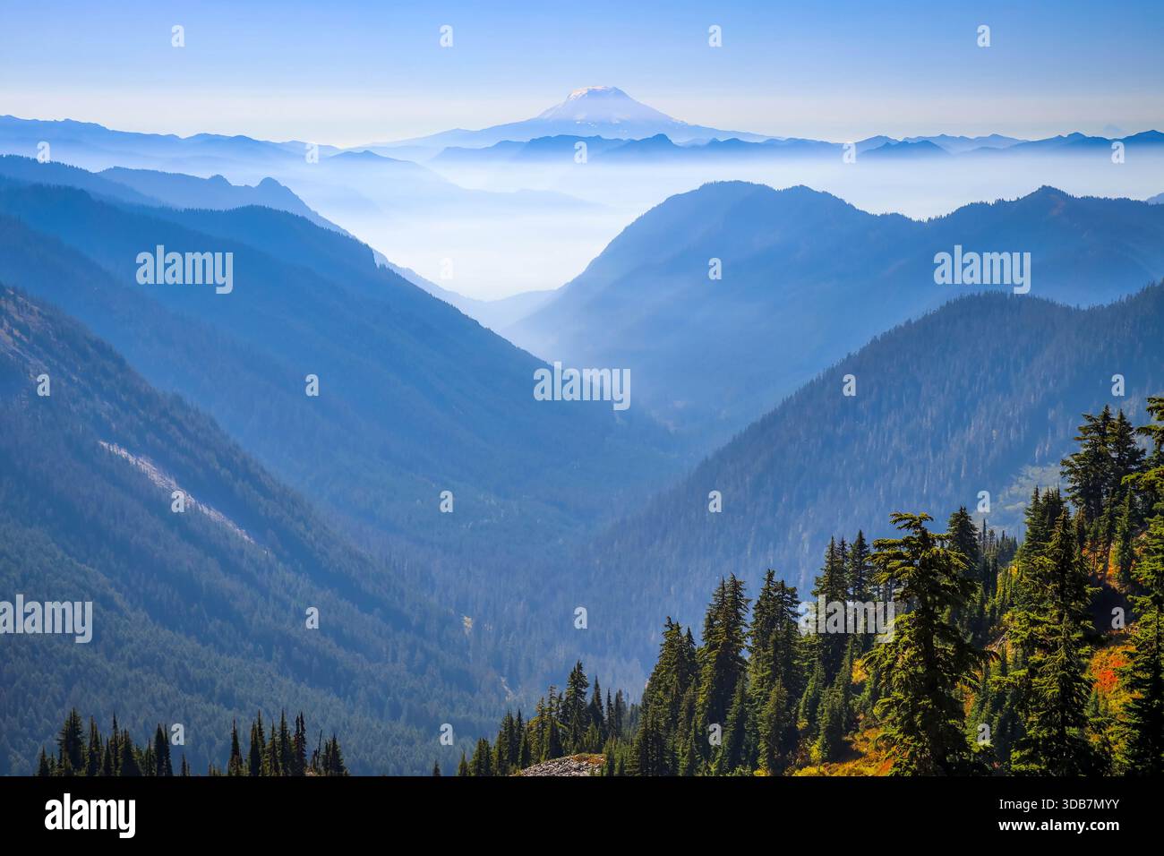 Une vue panoramique époustouflante depuis la selle de Pinnacle Peak révèle les pentes bleues de Mazama Ridge et le lointain et imposant Mont Adams. Banque D'Images