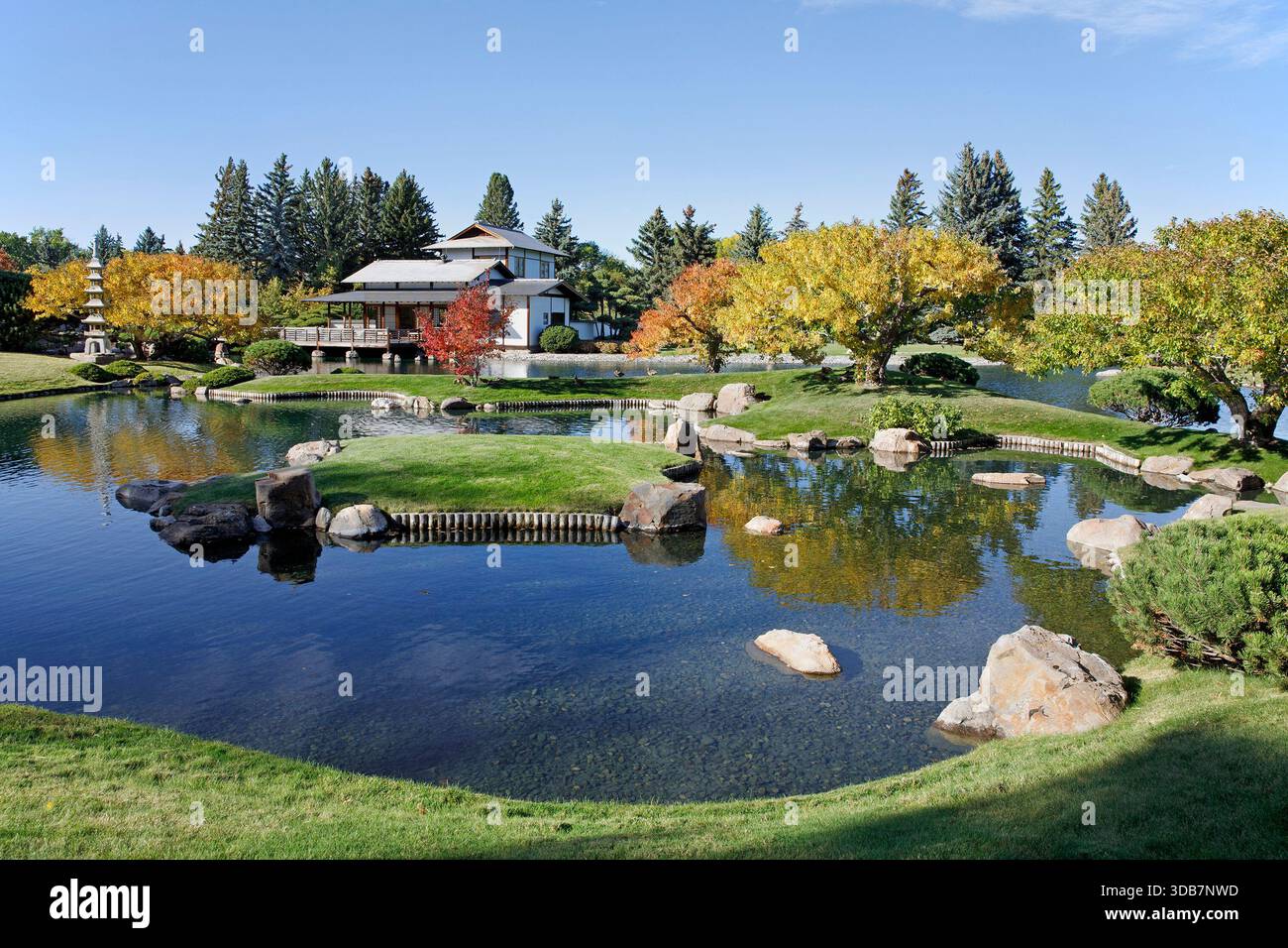 Nikka Yuko jardin japonais étang et pavillon de thé en automne Banque D'Images