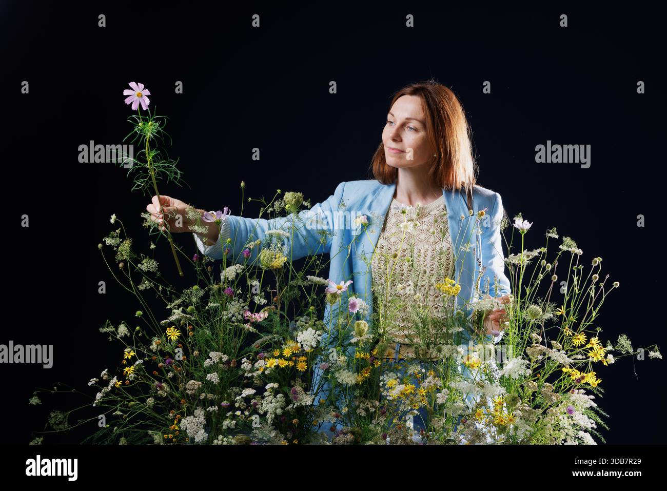 Main arrangeant des fleurs sauvages sur fond sombre, concept de composition florale Banque D'Images