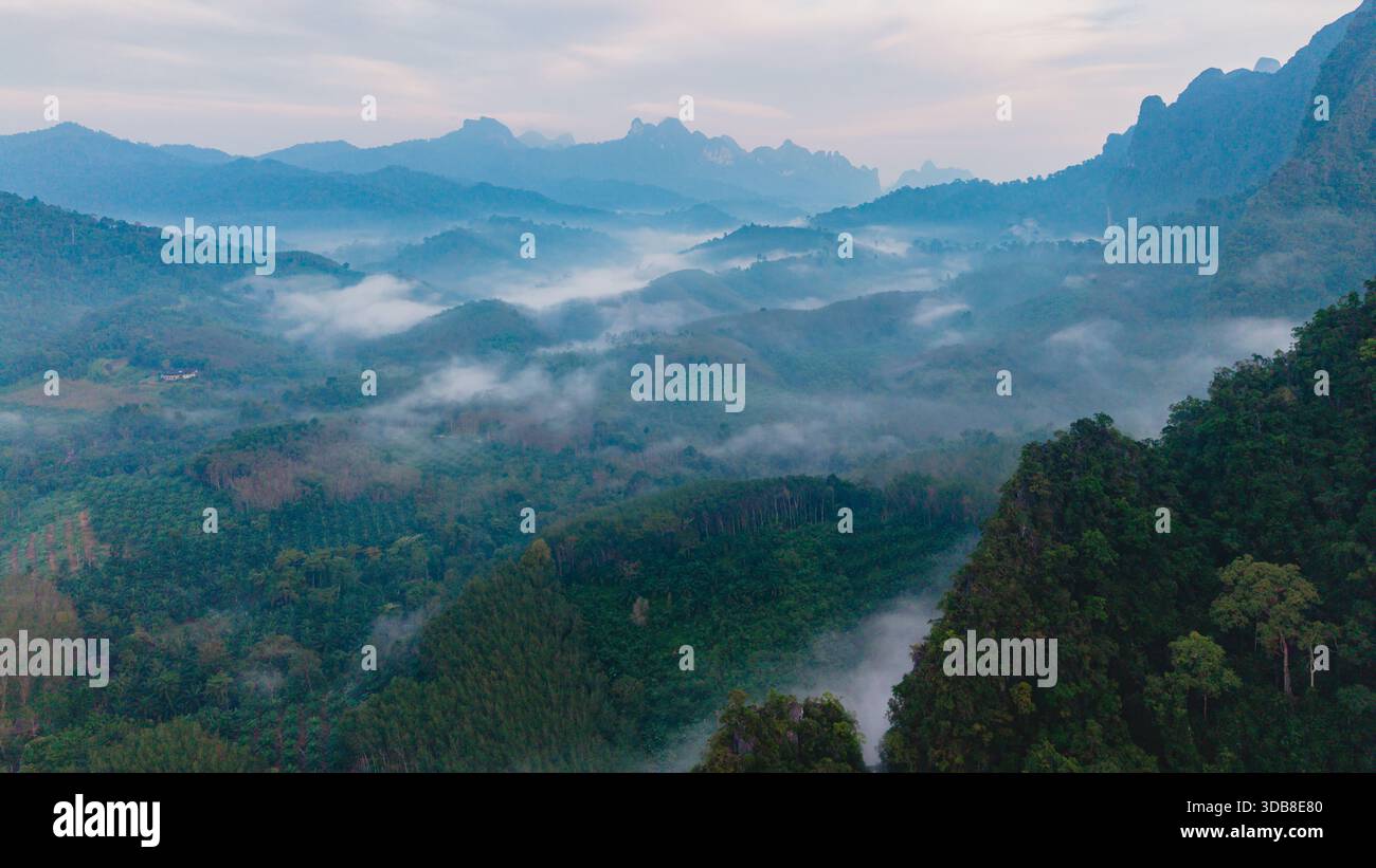 Découvrez le paysage époustouflant du parc national de Khao Sok, où la brume recouvre les montagnes luxuriantes à l'aube. L'atmosphère sereine souligne la beauté naturelle de la nature sauvage de la Thaïlande. Banque D'Images