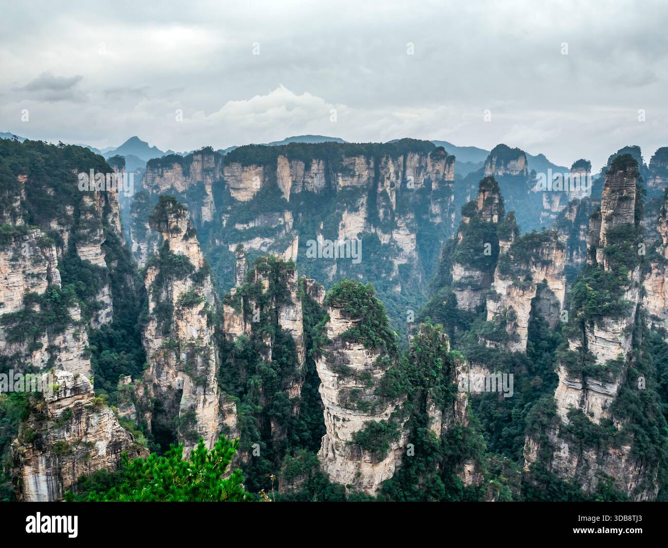 Vue panoramique sur les montagnes Avatar ou Tianzi dans le parc forestier national de Zhangjiajie, Chine. Imposants piliers de grès recouverts de verdure, classe mondiale 5A t Banque D'Images