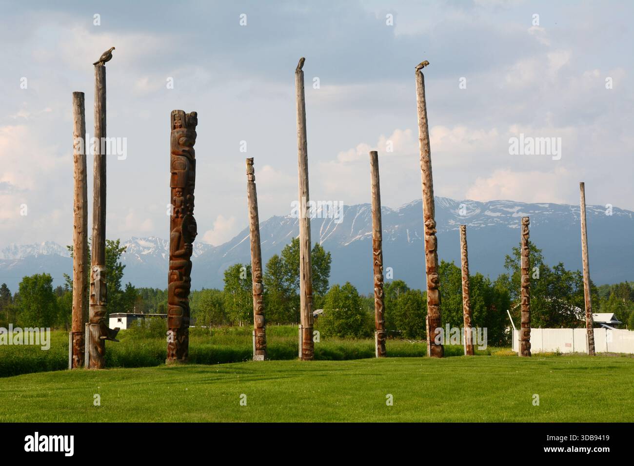 Un groupe de plusieurs totems indigènes du Nord-Ouest dans le village de Kispiox, dans la vallée de la rivière Skeena, dans le nord de la Colombie-Britannique, Canada. Banque D'Images