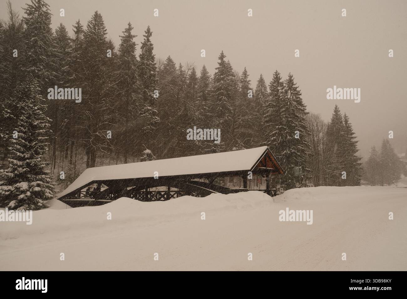 Une scène hivernale sereine avec un pont couvert historique enfoui dans la neige profonde, au milieu d'une forêt givrée. Banque D'Images