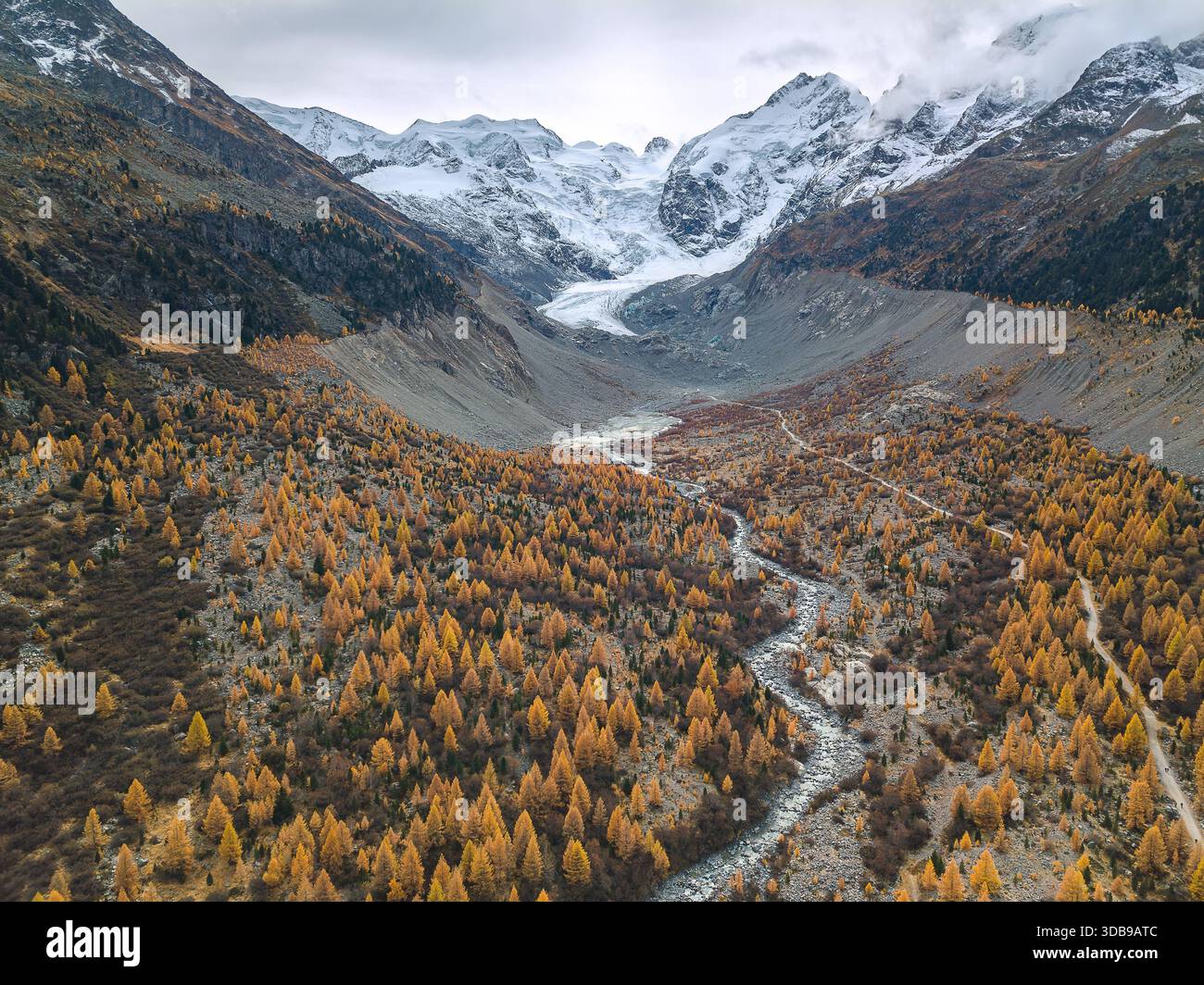 Image aérienne du Morteratsch Glaicer et de la vallée avec forêt de mélèzes en saison d'automne dorée Banque D'Images