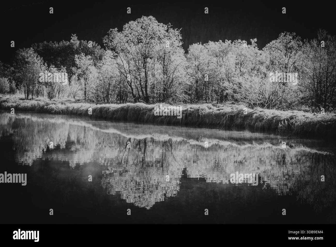 Le canton le plus grand et le plus oriental de Suisse est un endroit étonnant, peut-être le meilleur en automne lorsque les premières gelées apparaissent. C'est le River Inn. Banque D'Images