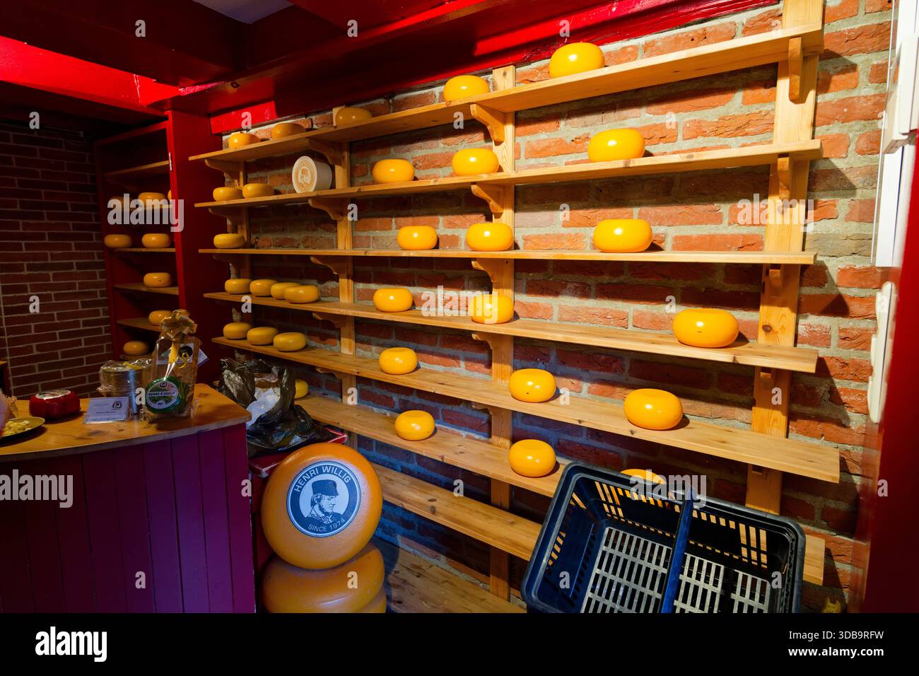Dans une boutique confortable avec des murs de briques apparentes, des roues rondes de fromage sont soigneusement disposées sur des étagères en bois. L'atmosphère accueillante fait allusion au c de la région Banque D'Images