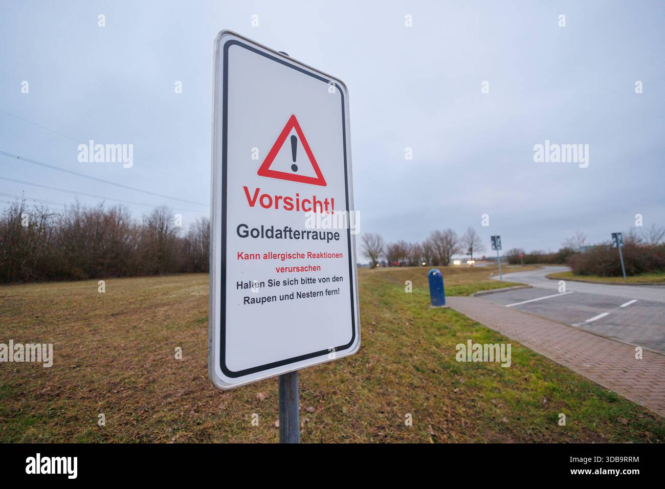 15.12.2025 : auf dem Parkplatz Klockow Ost an der A20 wurden Schilder aufgestellt, die vor der giftigen Goldafterraupe warnen Parkplatz Klockow Ost A20 Brandenburg Deutschland *** 15 12 2025 panneaux avertissant de la chenille venimeuse de l'aigle doré ont été érigés dans le parking de Klockow Ost sur l'autoroute A20 parking Klockow Ost Banque D'Images
