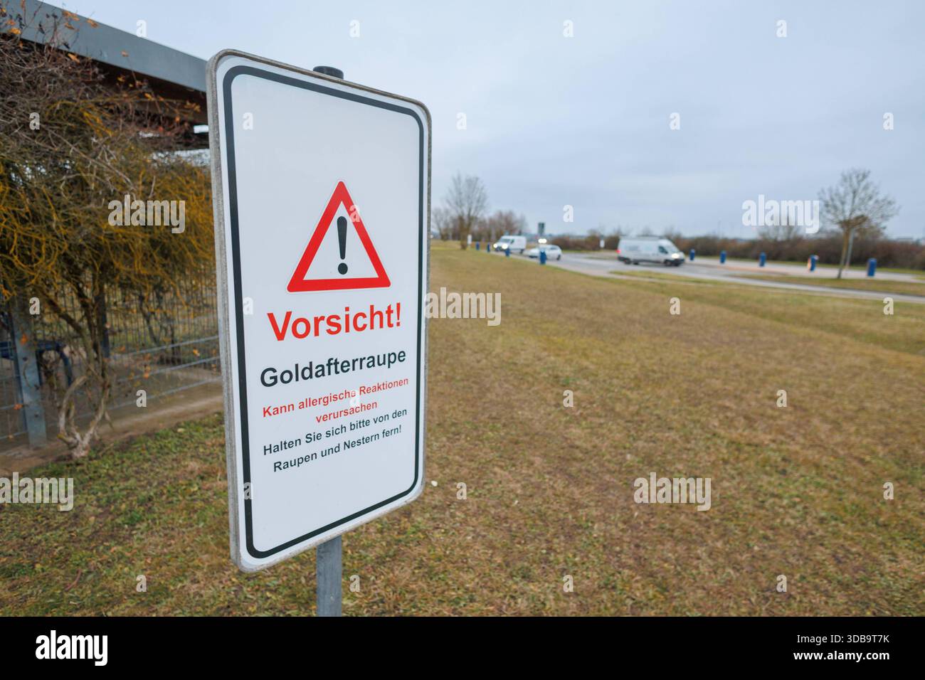 15.12.2025 : auf dem Parkplatz Klockow Ost an der A20 wurden Schilder aufgestellt, die vor der giftigen Goldafterraupe warnen Parkplatz Klockow Ost A20 Brandenburg Deutschland *** 15 12 2025 panneaux avertissant de la chenille venimeuse de l'aigle doré ont été érigés dans le parking de Klockow Ost sur l'autoroute A20 parking Klockow Ost Banque D'Images
