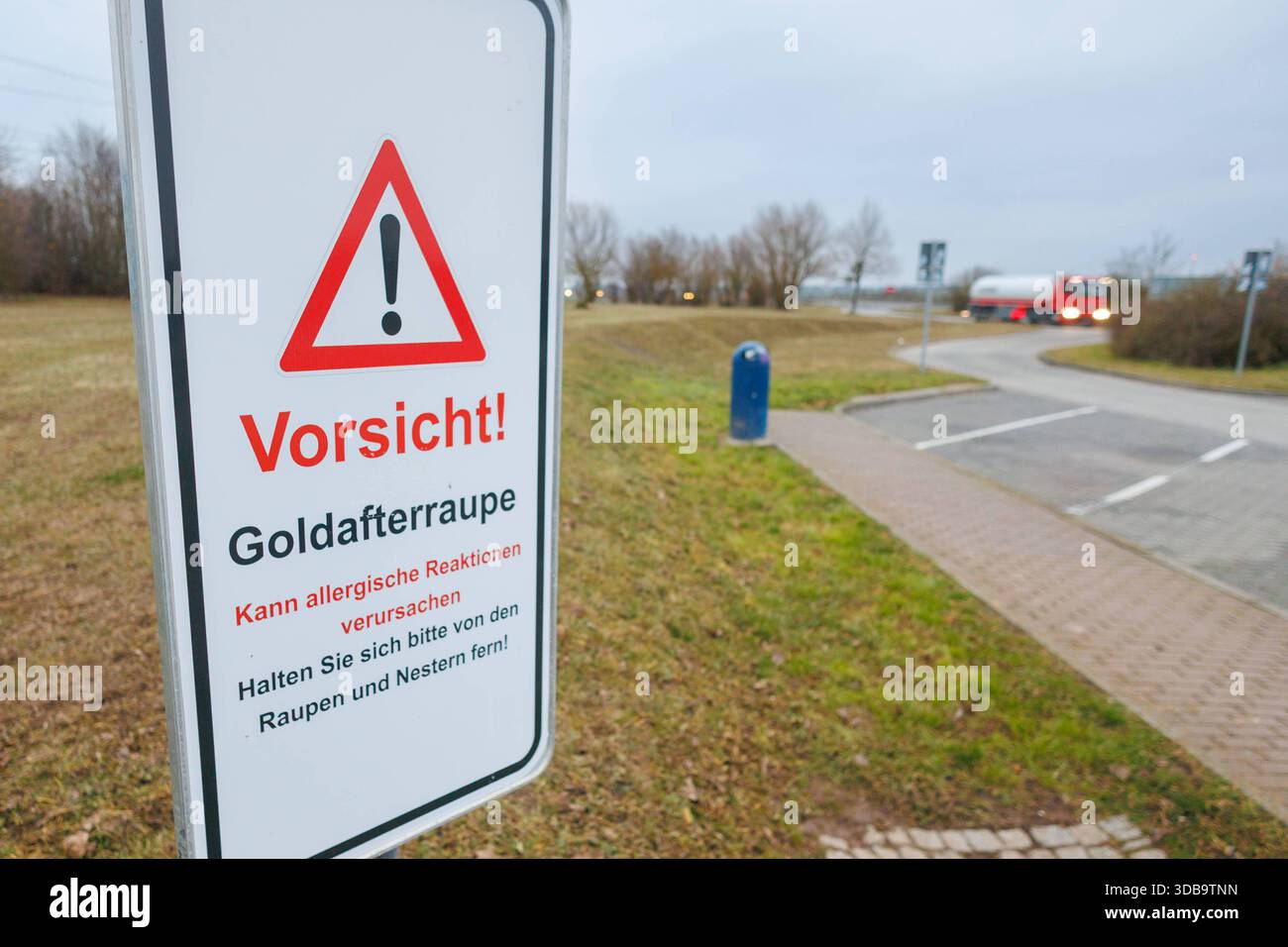 15.12.2025 : auf dem Parkplatz Klockow Ost an der A20 wurden Schilder aufgestellt, die vor der giftigen Goldafterraupe warnen Parkplatz Klockow Ost A20 Brandenburg Deutschland *** 15 12 2025 panneaux avertissant de la chenille venimeuse de l'aigle doré ont été érigés dans le parking de Klockow Ost sur l'autoroute A20 parking Klockow Ost Banque D'Images
