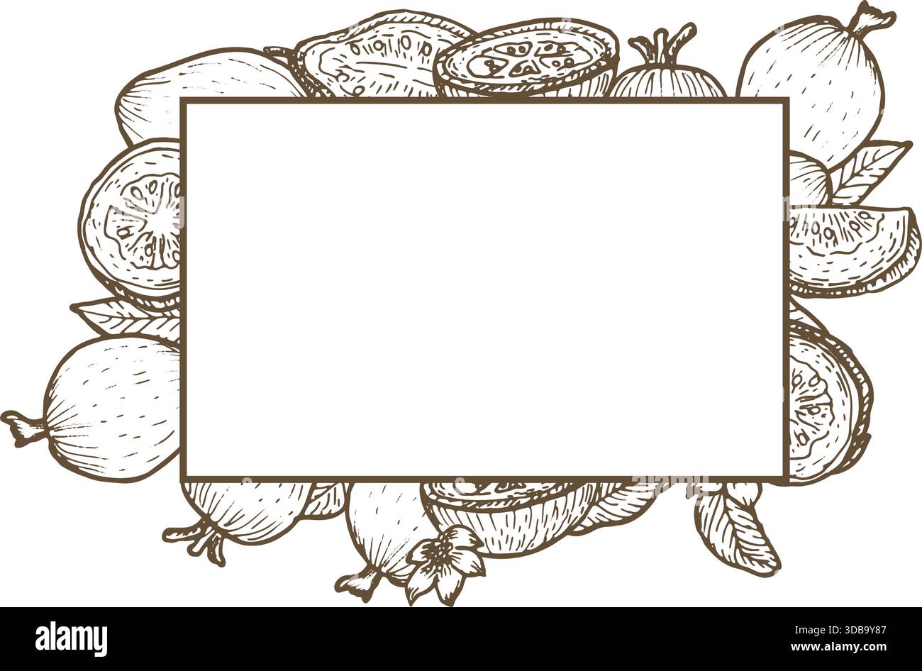 Fruits de goyave avec cadre de feuilles. Modèle de fond de nourriture de goyave avec espace vide. Croquis de fruits tropicaux dans le style linéaire de gravure. Illustration de Vecteur