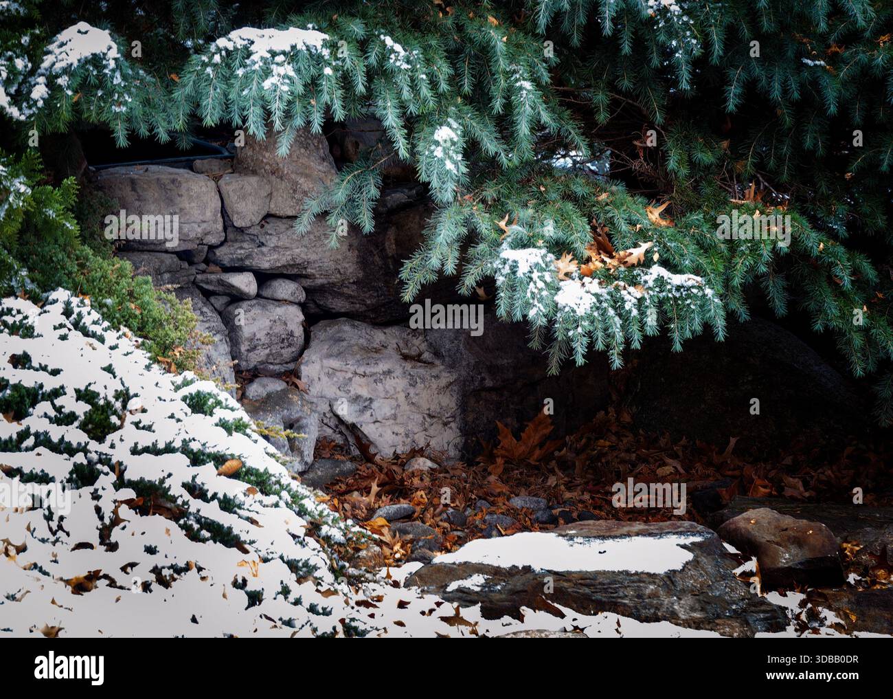 Une scène de neige hivernale dans le parc Banque D'Images