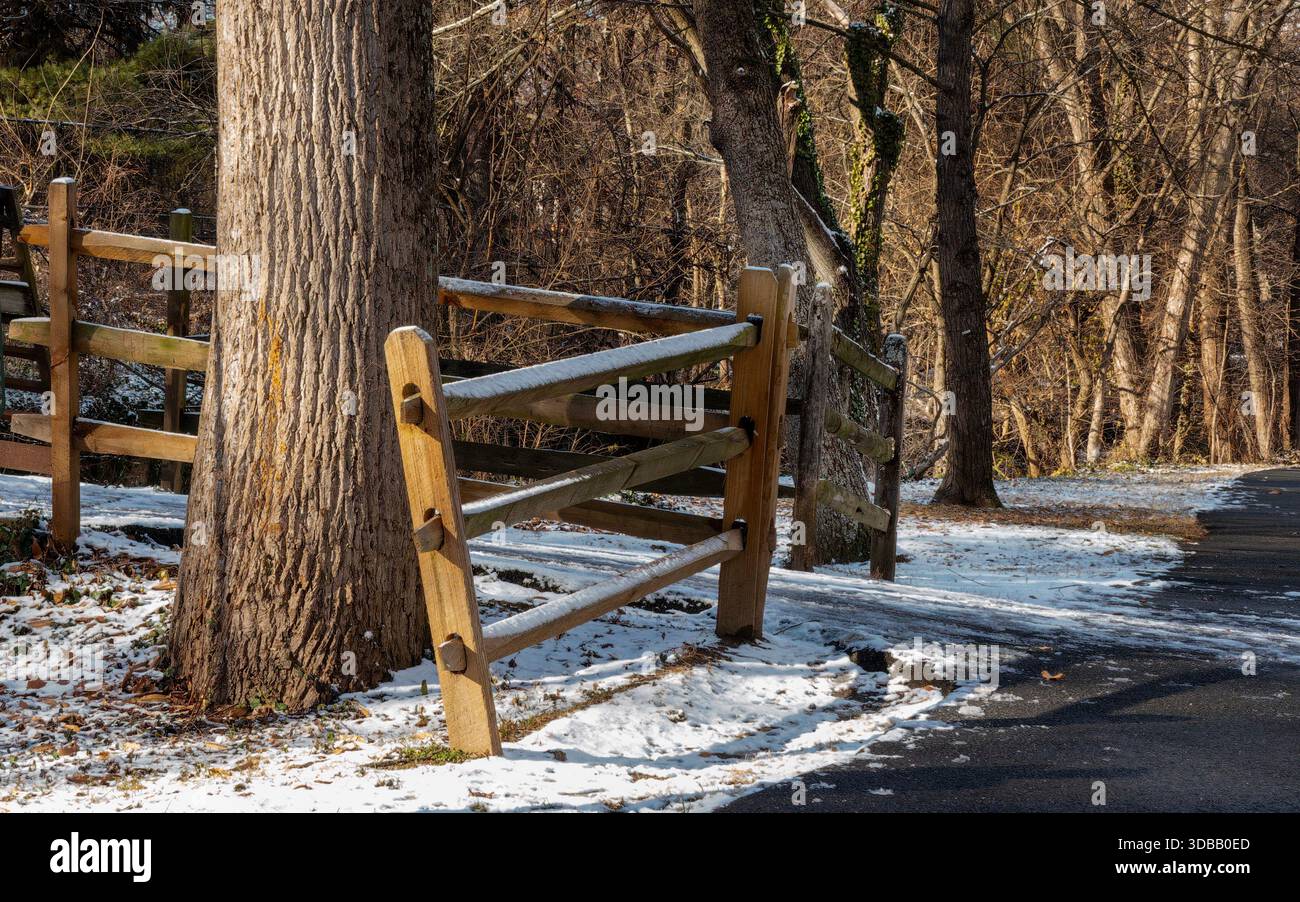 Une scène de neige hivernale dans le parc Banque D'Images