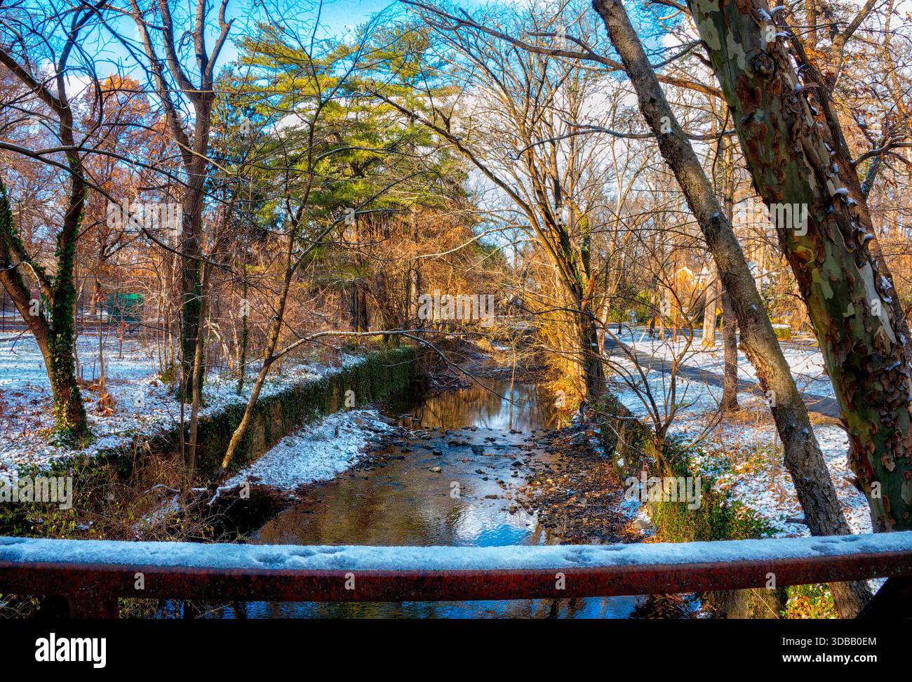 Une scène de neige hivernale dans le parc Banque D'Images