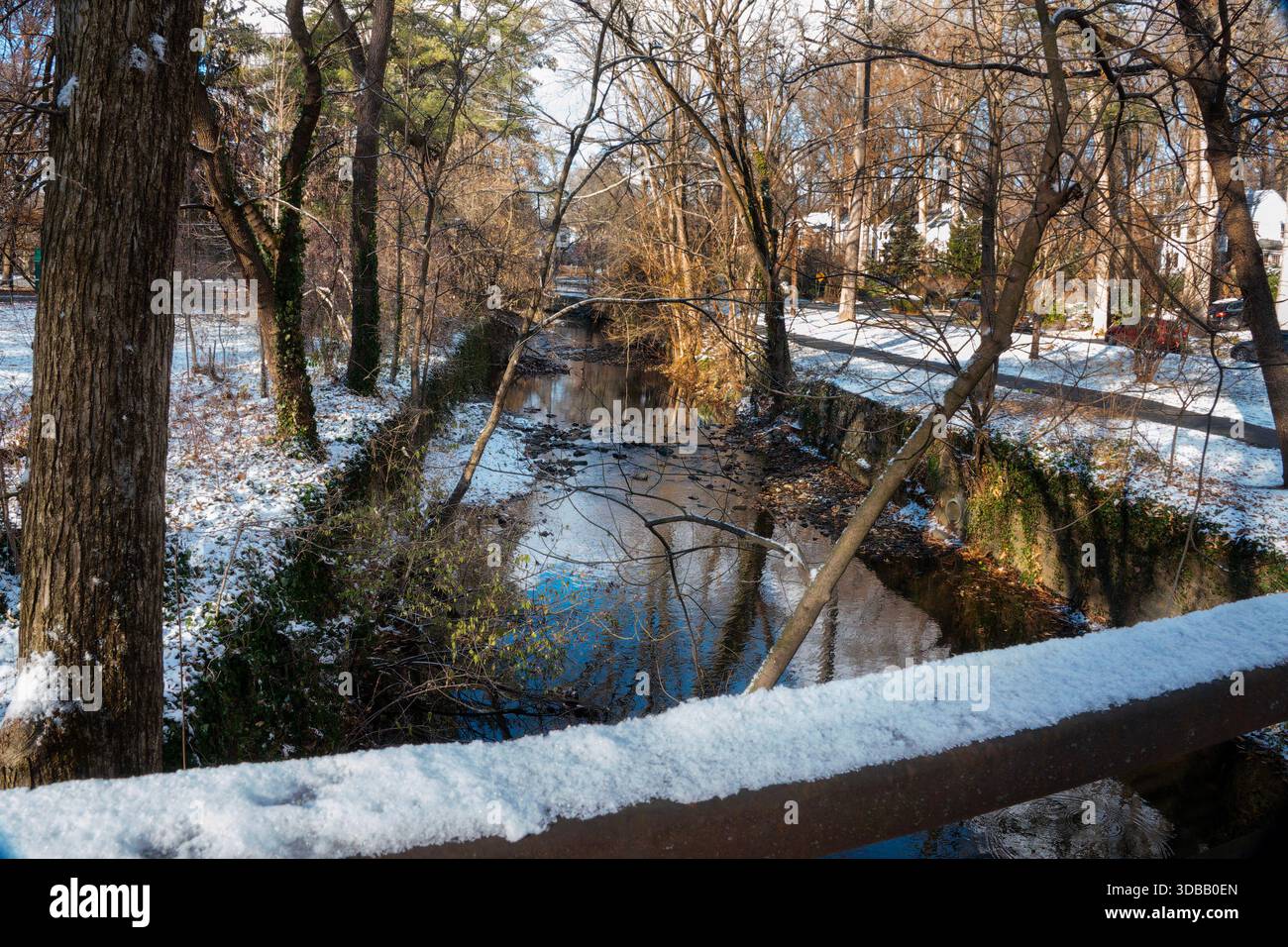 Une scène de neige hivernale dans le parc Banque D'Images