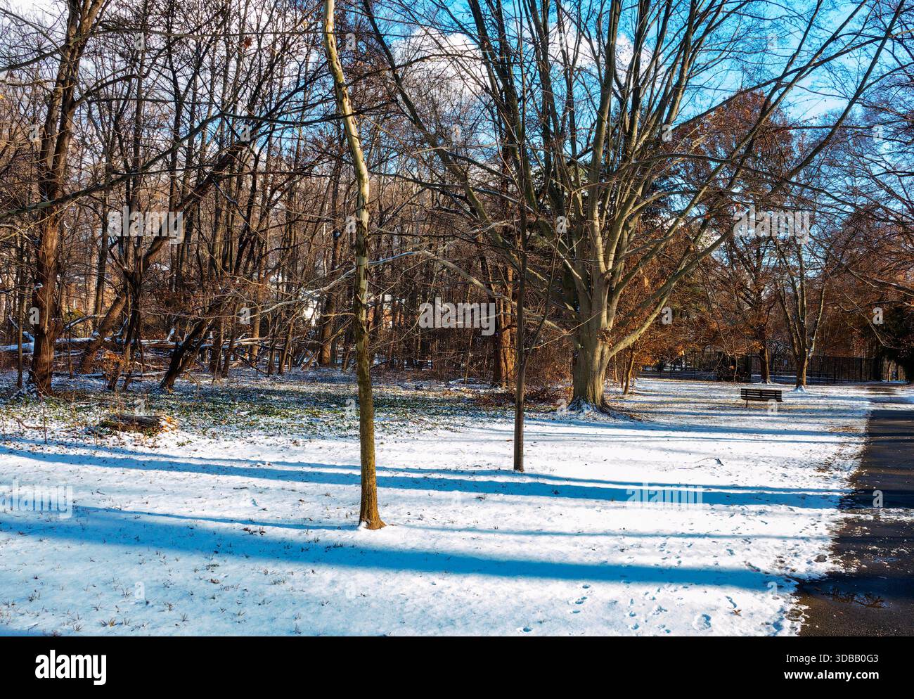 Une scène de neige hivernale dans le parc Banque D'Images