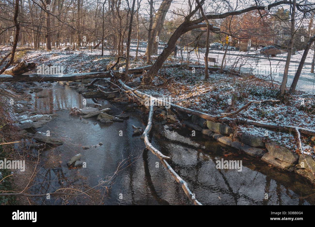 Une scène de neige hivernale dans le parc Banque D'Images
