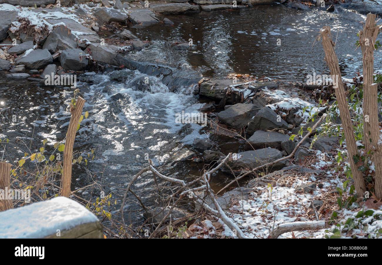Une scène de neige hivernale dans le parc Banque D'Images