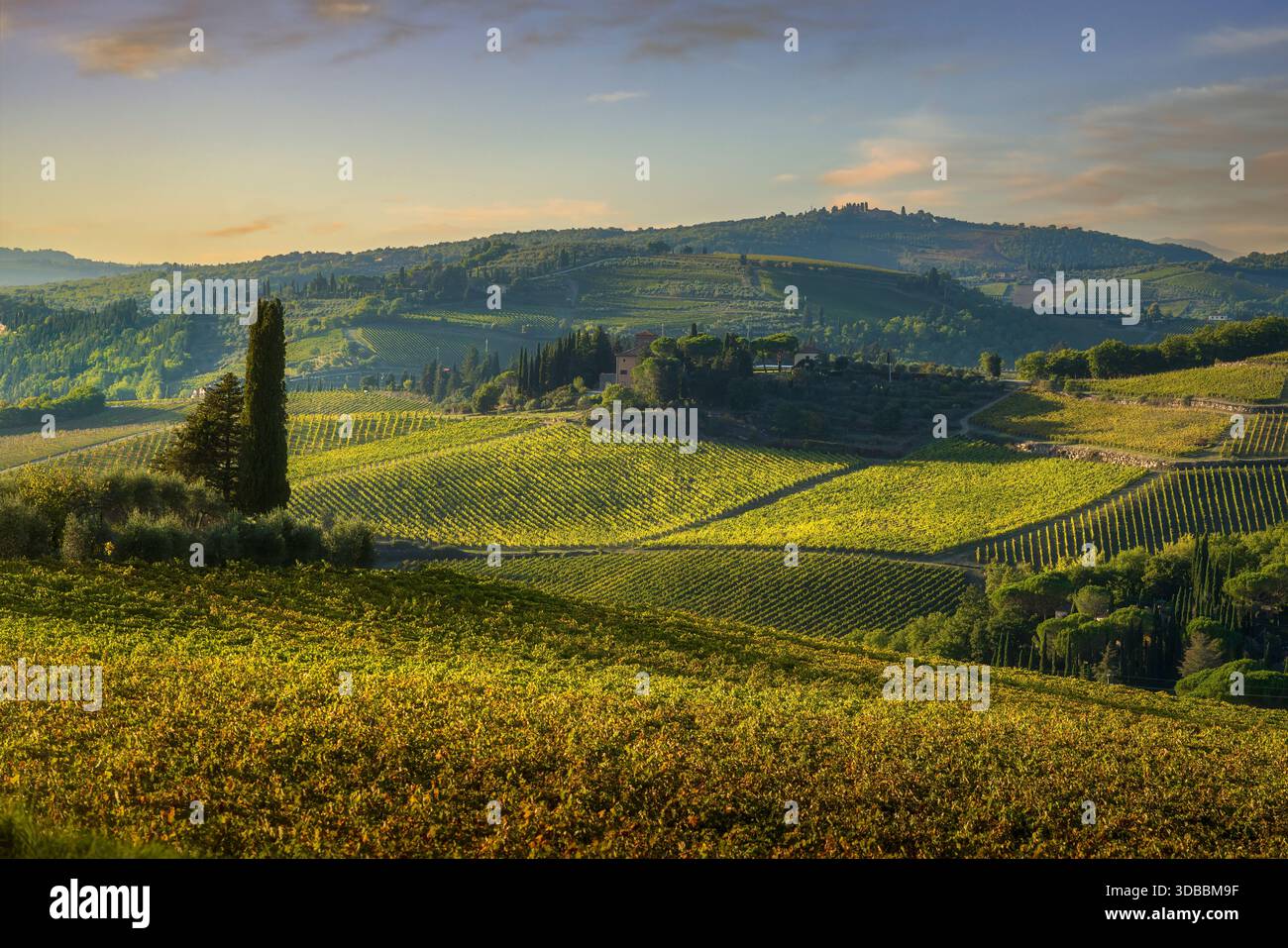Vue panoramique sur les collines et les vignobles de la région viticole du Chianti près de Panzano in Chianti, Toscane, Italie. Les caractéristiques du paysage d'automne vont Banque D'Images
