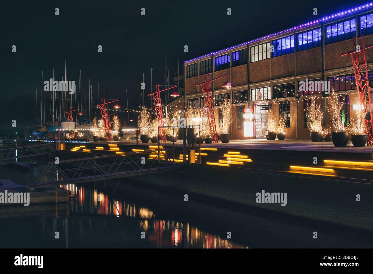 Vue nocturne festive des bâtiments illuminés et de la marina à Noblessner Banque D'Images