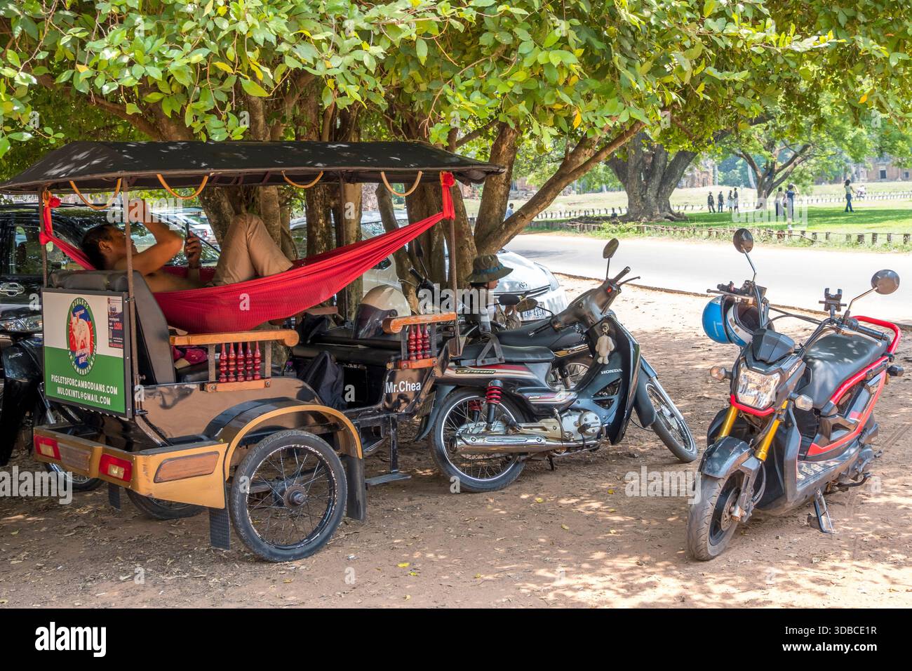 Pousse-pousse reposant à l'ombre d'un arbre, Cambodge Banque D'Images