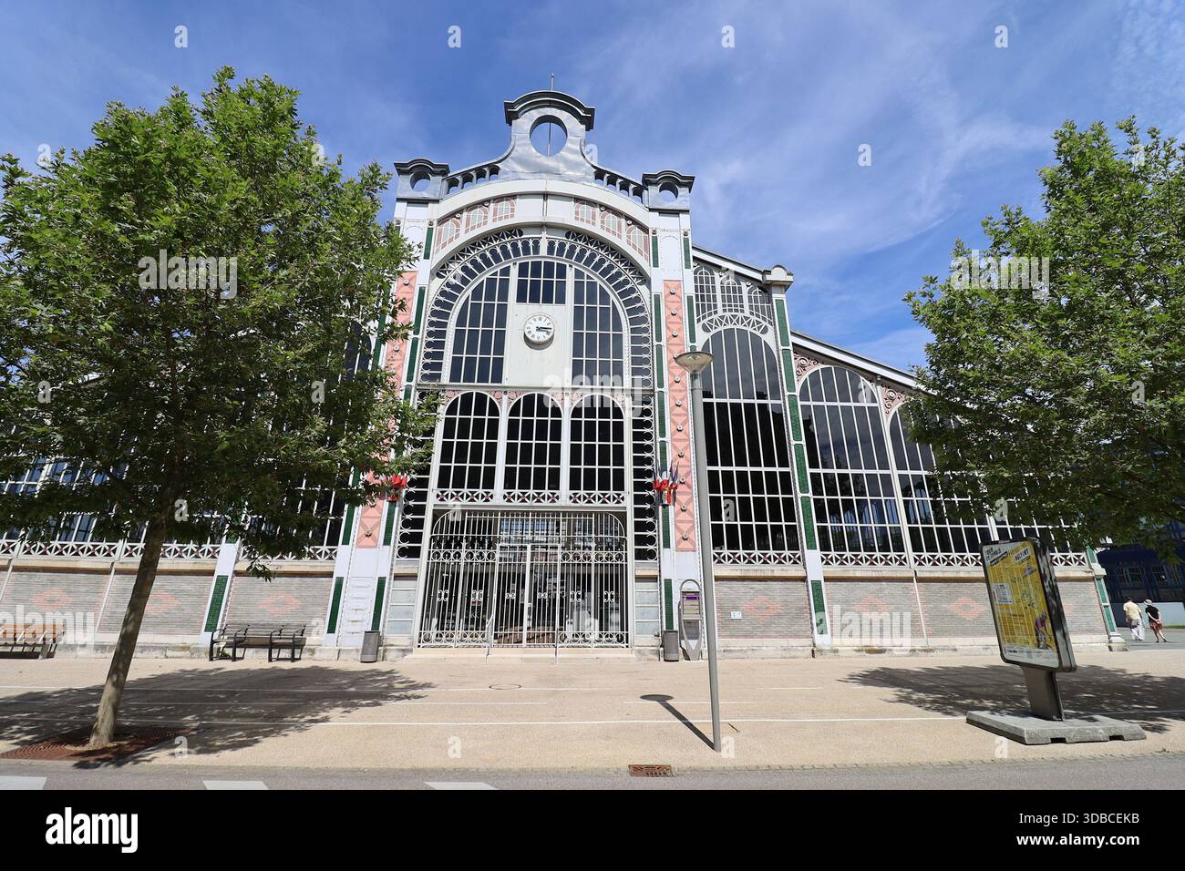 Les halles de Belfort, marché Fréry, marché alimentaire couvert, vue de l'extérieur, ville de Belfort, territoire de Belfort, France Banque D'Images