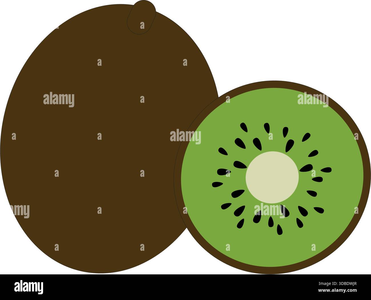 kiwi frais entiers Illustration de Vecteur