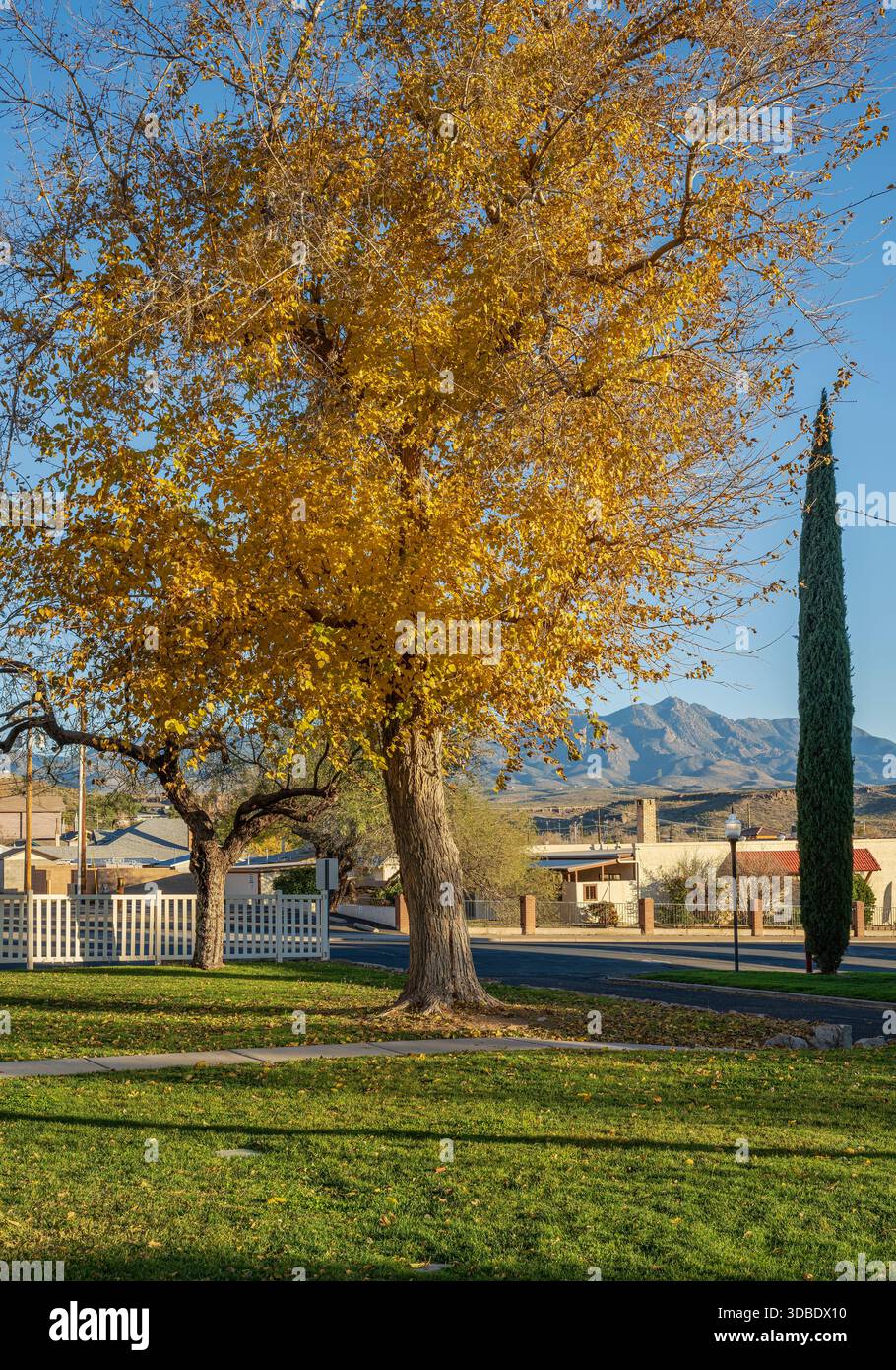Parc du centre-ville de Kingman Arizona surplombant les montagnes Hualapai. Banque D'Images