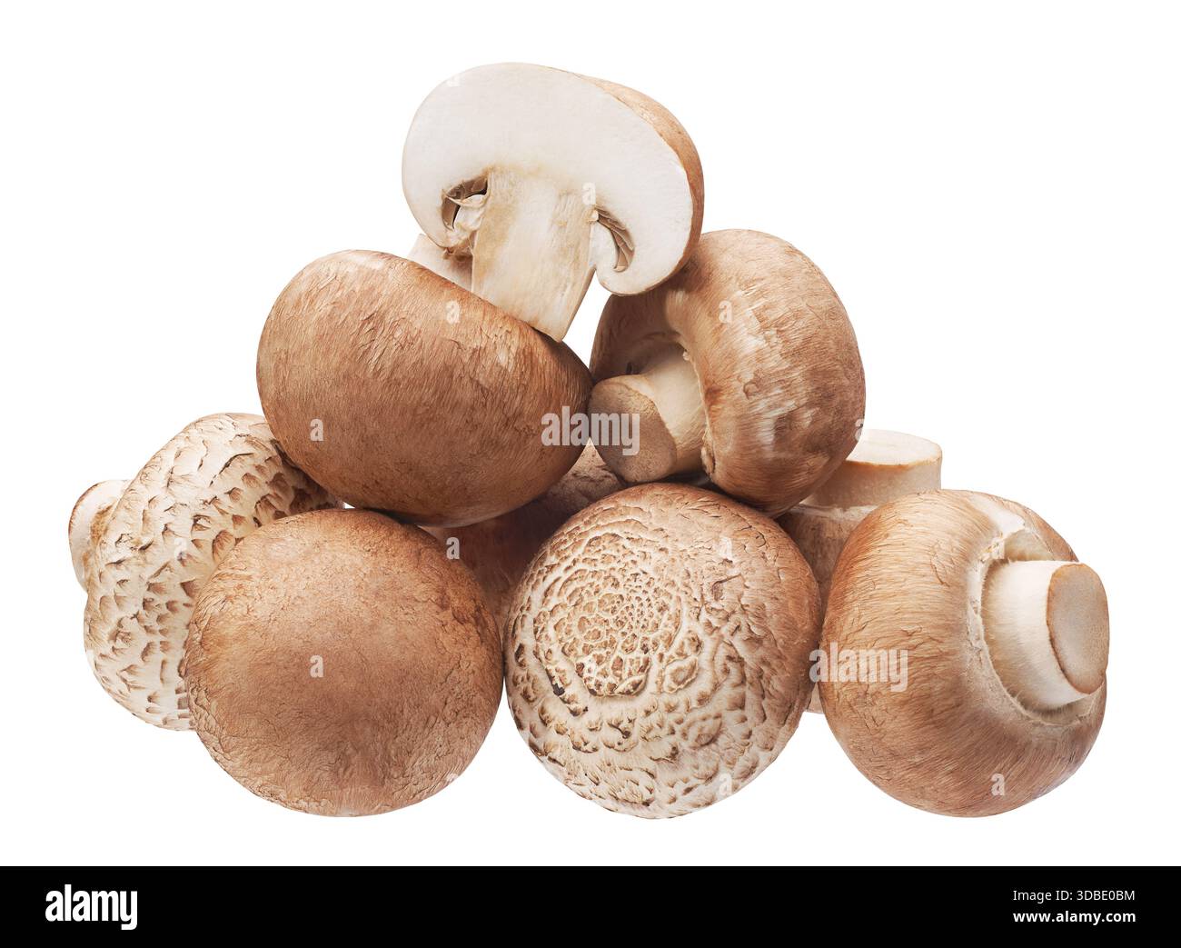 Groupe de champignons boutons bruns isolés sur blanc Banque D'Images