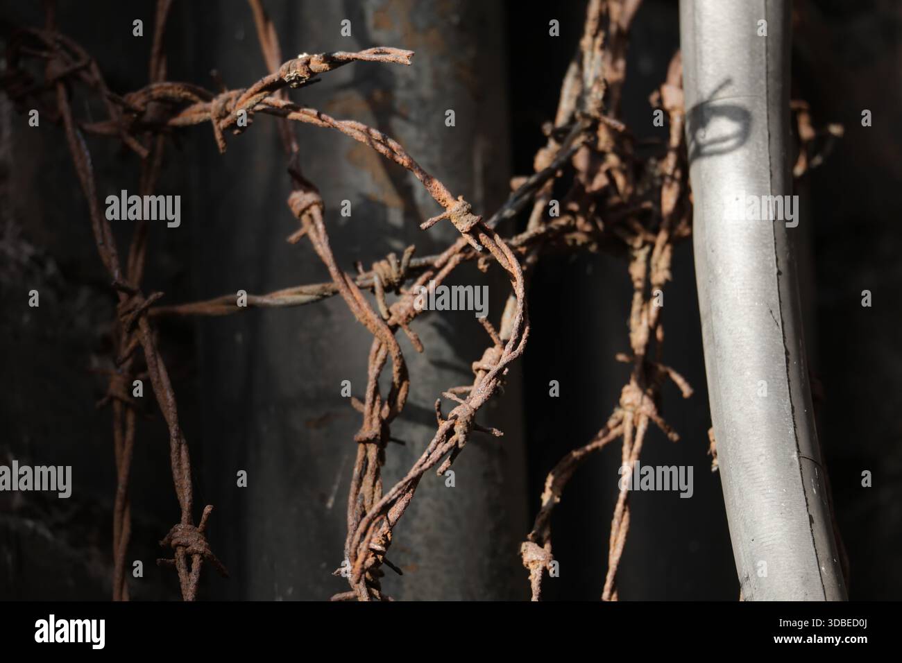 Dublin, Irlande - 10 décembre 2025 - le soleil brille sur de vieux barbwire fortement rouillés vus dans une ruelle de Dublin Banque D'Images