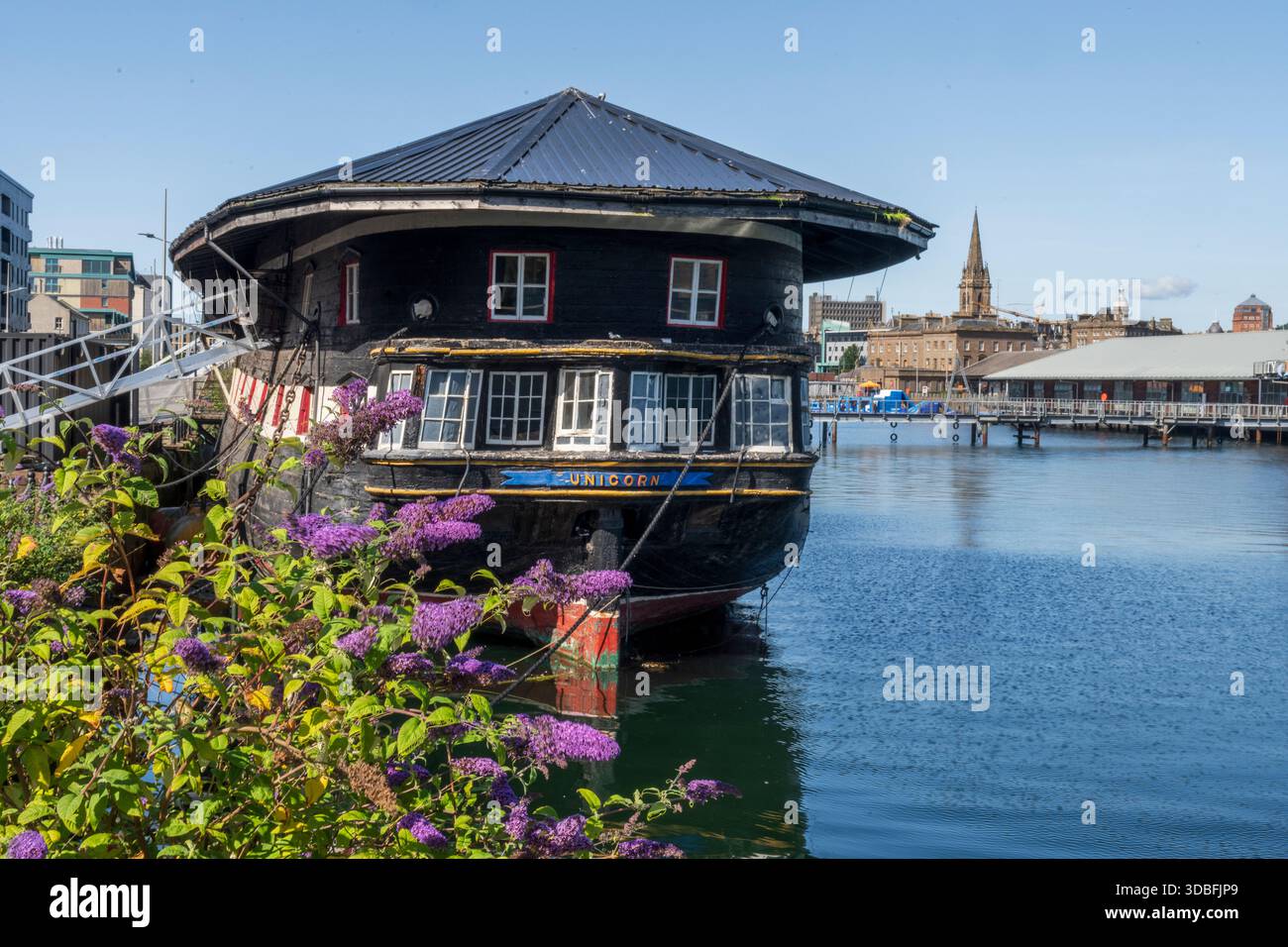 Frégate de licorne historique amarrée au port de Dundee, peinte en noir avec des fenêtres blanches, à côté de fleurs violettes et d'un quai moderne. Les vues pittoresques sur le port se mélangent Banque D'Images