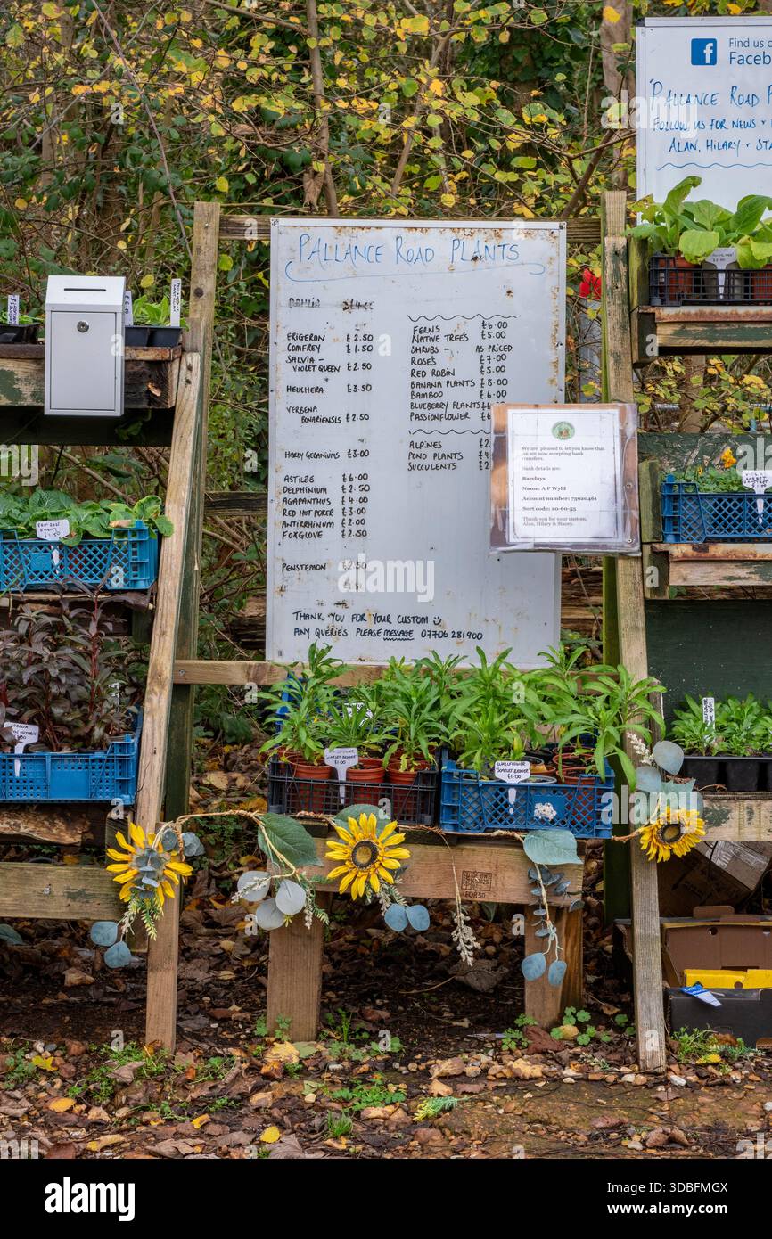 Sélection de plantes en pot et de fleurs à vendre à un stand de boîte d'honnêteté à la fin d'une maison privée, système de boîte d'honnêteté pour les ventes de plantes Banque D'Images