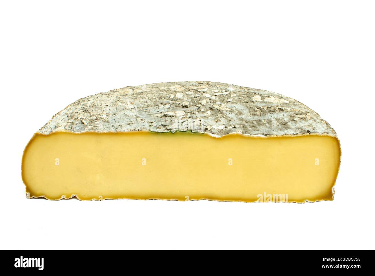 Coupe transversale d'un fromage Saint-Nectaire sur fond blanc. Puy de Dome. Auvergne. France Banque D'Images