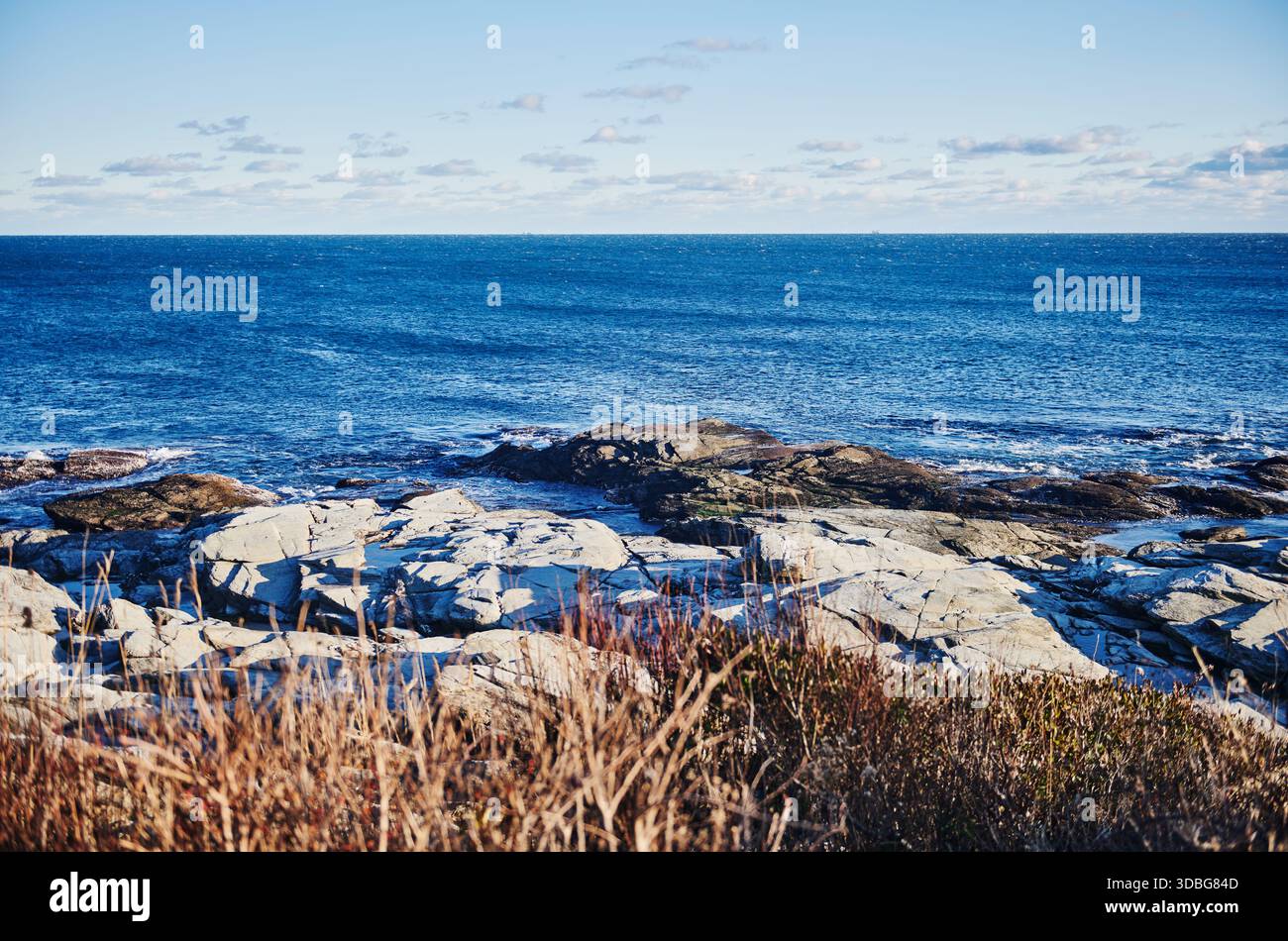 Côte rocheuse du parc d'État de Beavertail, Jamestown, Rhode Island, Nouvelle-Angleterre Banque D'Images