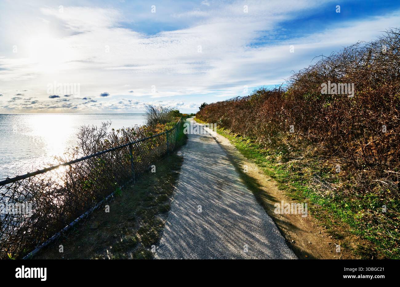 Newport Cliff Walk, Newport, Rhode Island, Nouvelle-Angleterre Banque D'Images
