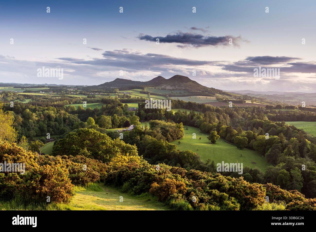 Campagne écossaise panoramique à Scott's View avec des collines ondulantes, des arbres et un coucher de soleil vibrant. Banque D'Images