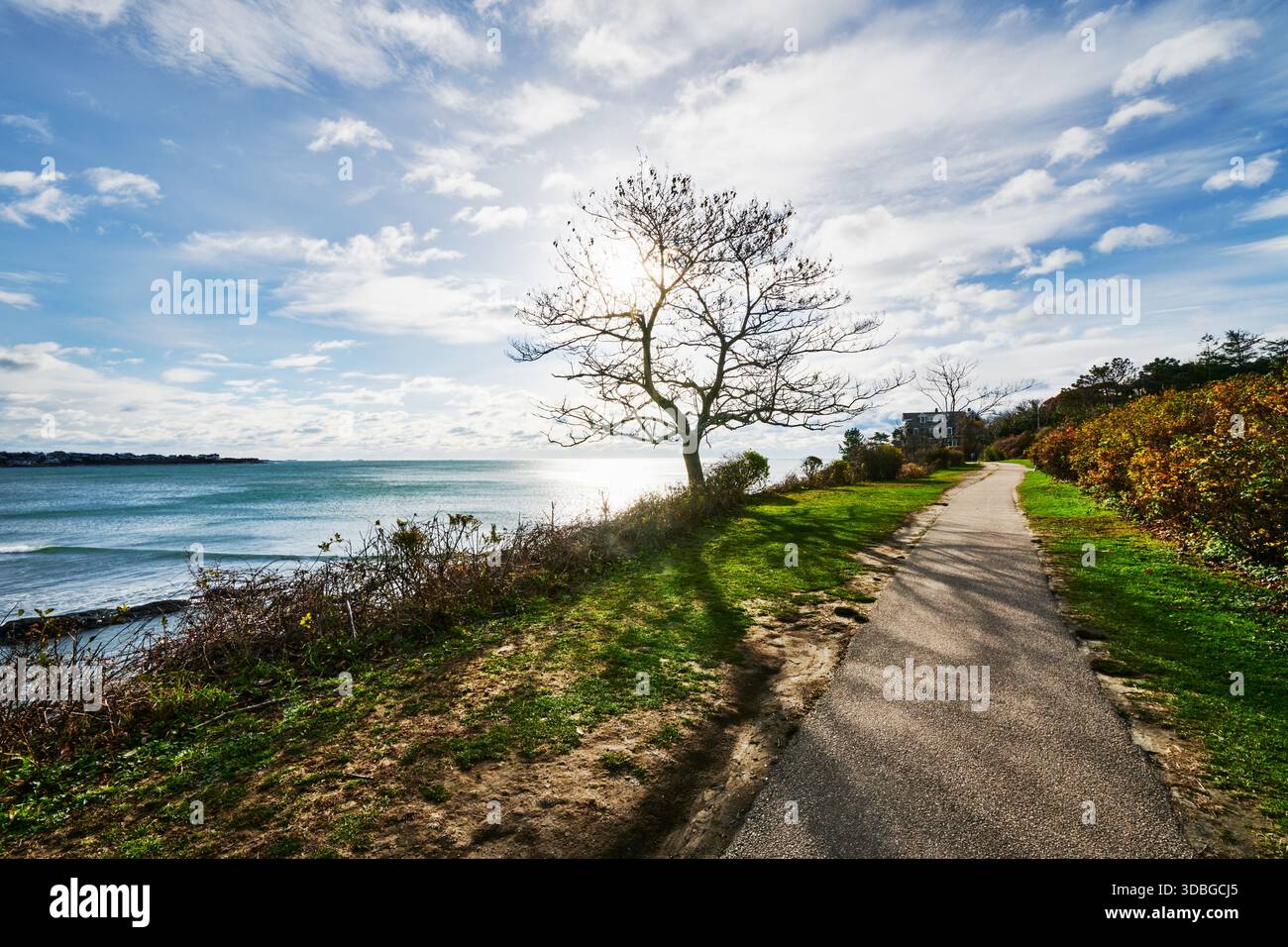 Newport Cliff Walk, Newport, Rhode Island, Nouvelle-Angleterre Banque D'Images