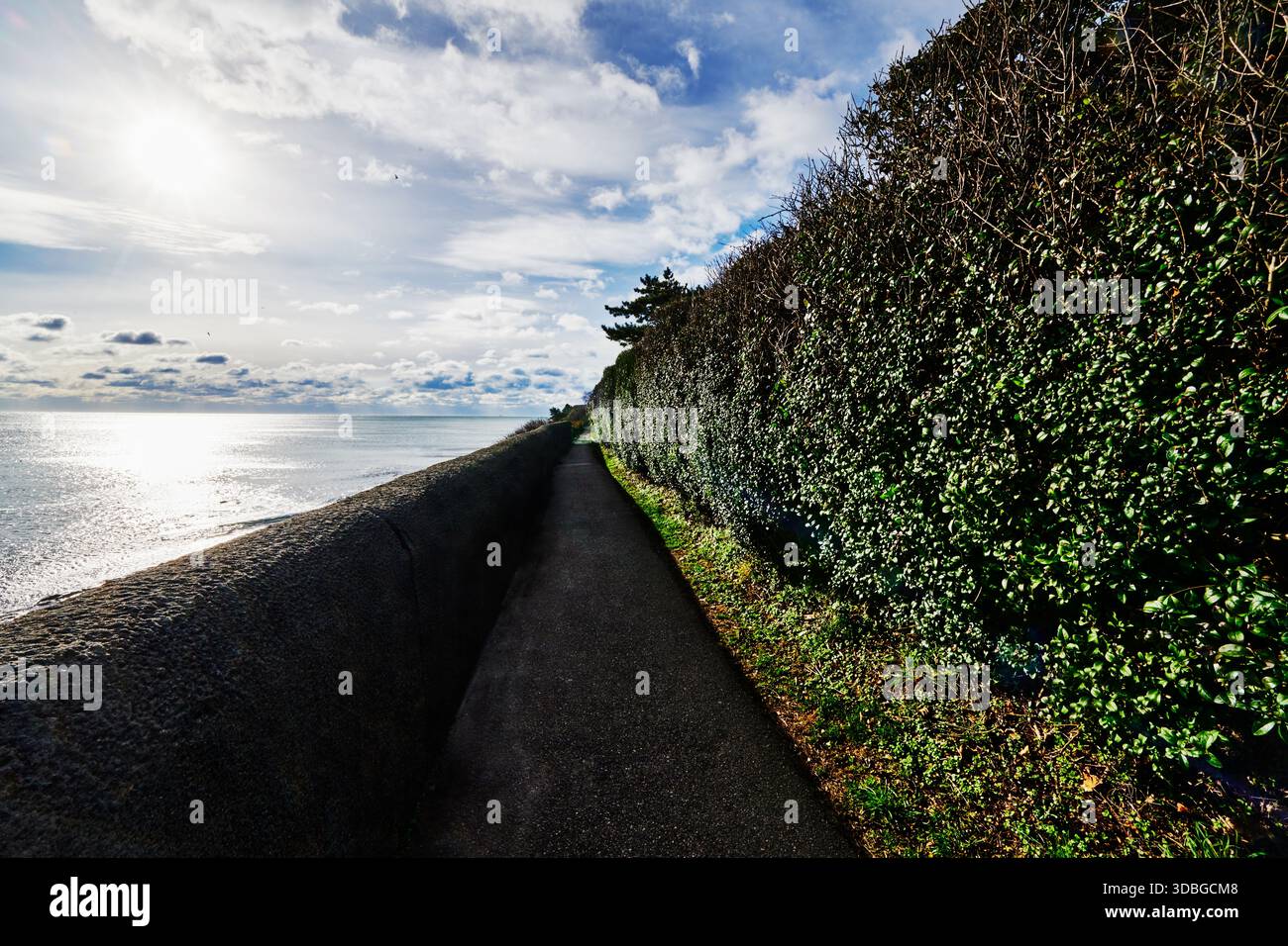 Newport Cliff Walk, Newport, Rhode Island, Nouvelle-Angleterre Banque D'Images
