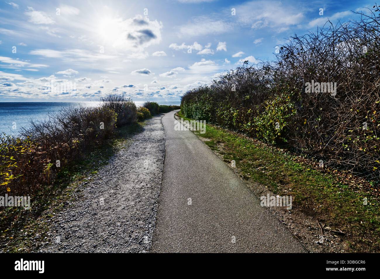 Newport Cliff Walk, Newport, Rhode Island, Nouvelle-Angleterre Banque D'Images