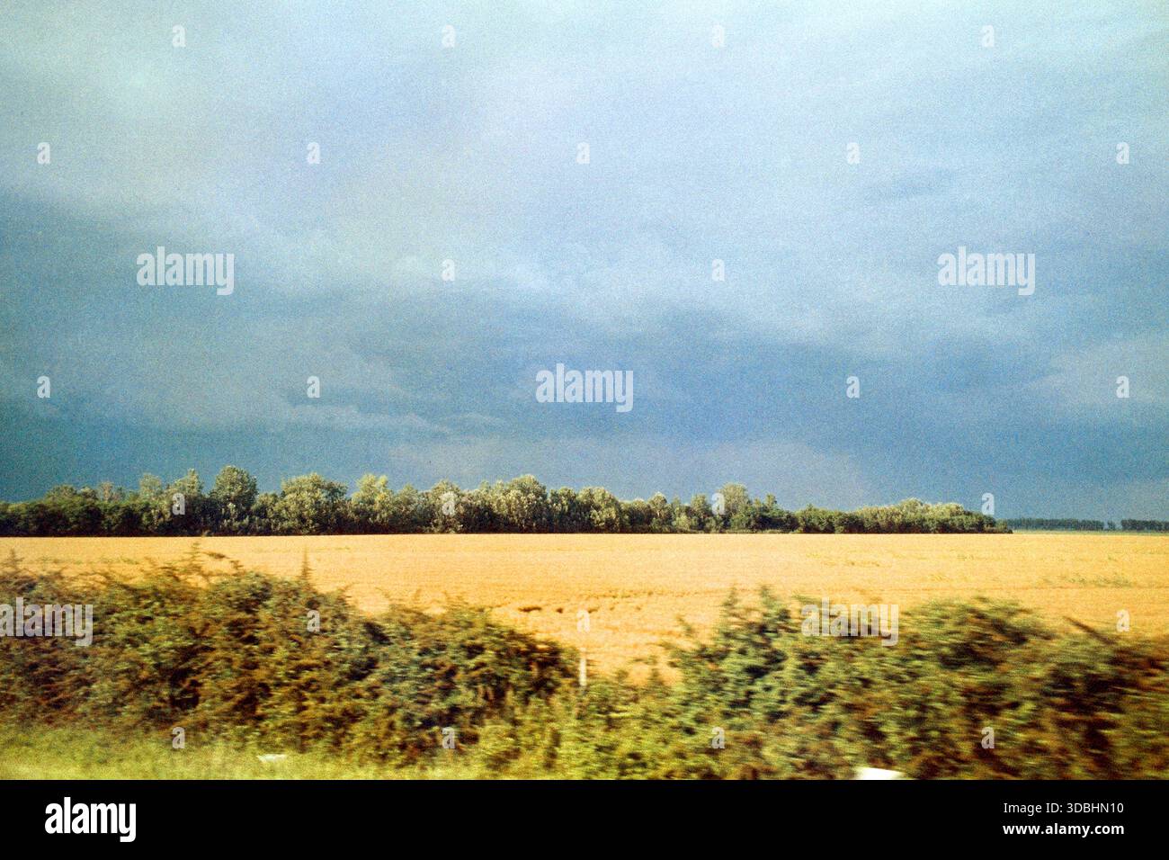 Vue d'une voiture en mouvement d'un champ de terres agricoles ensoleillé entouré d'arbres, ciel nuageux bleu, couleurs complémentaires, aspect de film analogique, grain visible et motio Banque D'Images