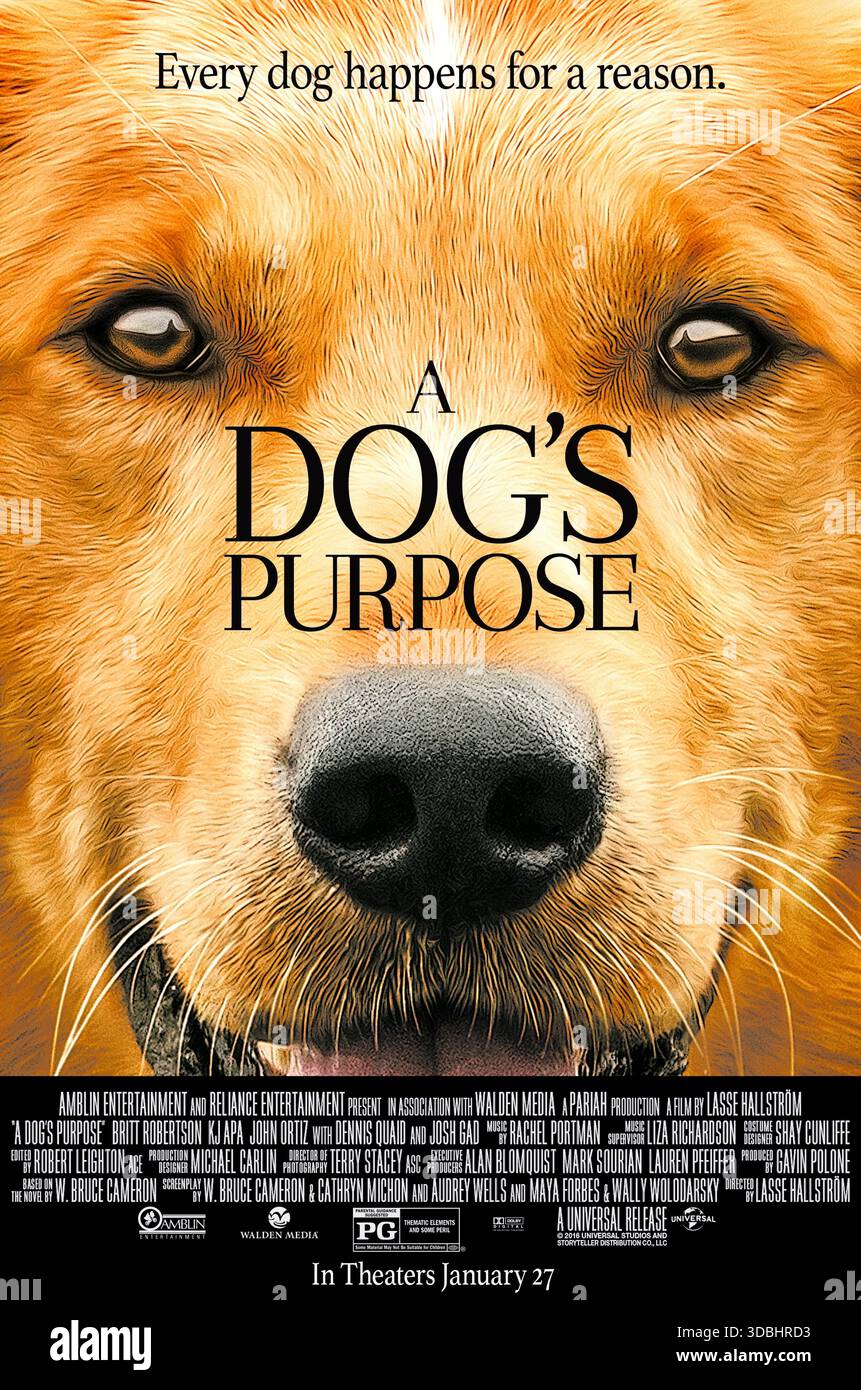 A Dog's Purpose (2017) réalisé par Lasse Hallström et mettant en vedette Josh Gad, Dennis Quaid et Peggy Lipton. Un chien renaît à travers plusieurs vies et propriétaires au fil des décennies, à la recherche du sens de son existence et du garçon qu'il aimait le plus. Affiche AMÉRICAINE À une feuille POUR USAGE ÉDITORIAL UNIQUEMENT. Crédit : BFA / Universal Pictures Banque D'Images