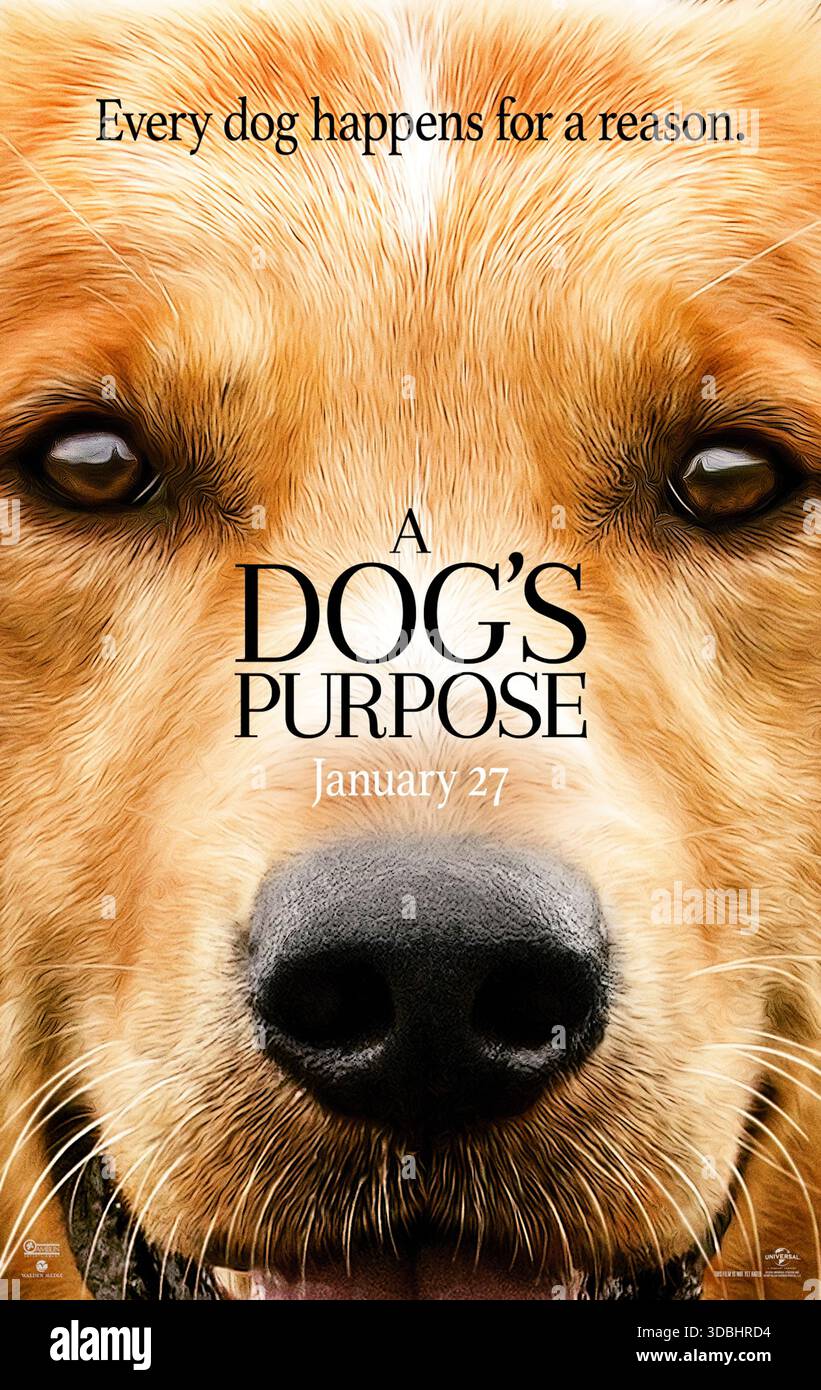 A Dog's Purpose (2017) réalisé par Lasse Hallström et mettant en vedette Josh Gad, Dennis Quaid et Peggy Lipton. Grâce à une série de réincarnations, un chien dévoué fait l'expérience de différents rôles et familles tout en maintenant le lien avec son premier propriétaire. Affiche avancée AMÉRICAINE UNIQUEMENT POUR USAGE ÉDITORIAL. Crédit : BFA / Universal Pictures Banque D'Images