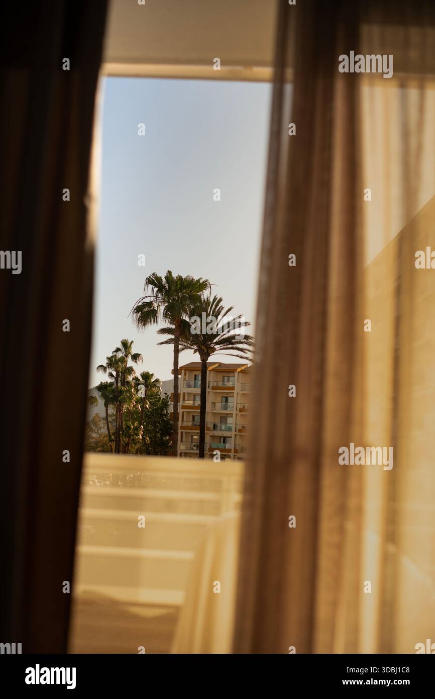 Palmiers à travers un trou dans les rideaux, printemps, Majorque Espagne Banque D'Images