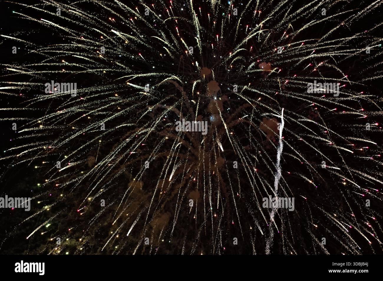 Des feux d'artifice explosent dans le ciel nocturne de Huntington Beach, en Californie, remplissant le cadre de sentiers d'étincelles dorées et de célébrations festives. Banque D'Images