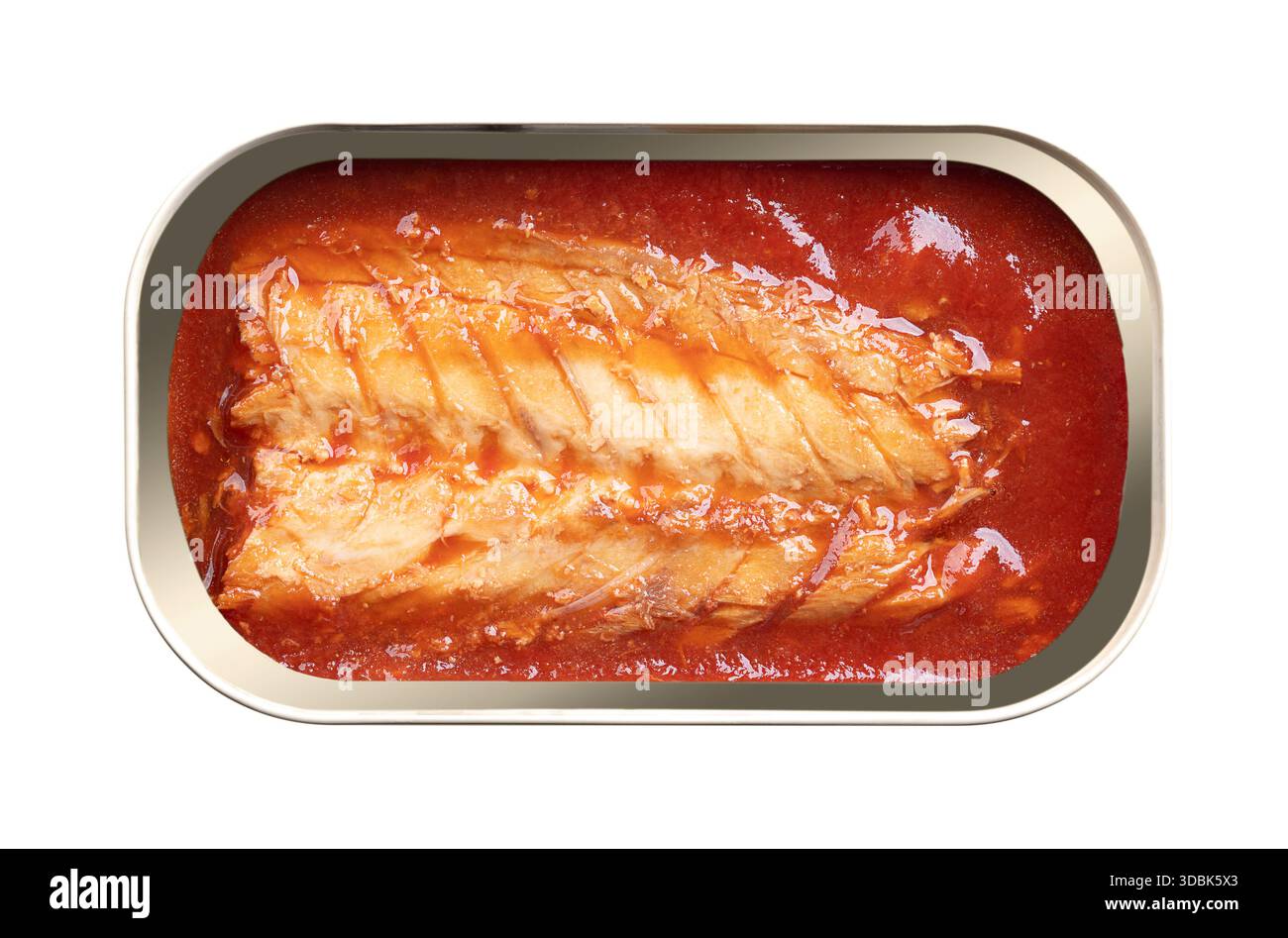 Filet de maquereau en conserve à la sauce tomate, dans une boîte de conserve ouverte. Morceau de maquereau cuit, sans peau et désossé, avec sauce tomate. Riche source de protéines. Banque D'Images
