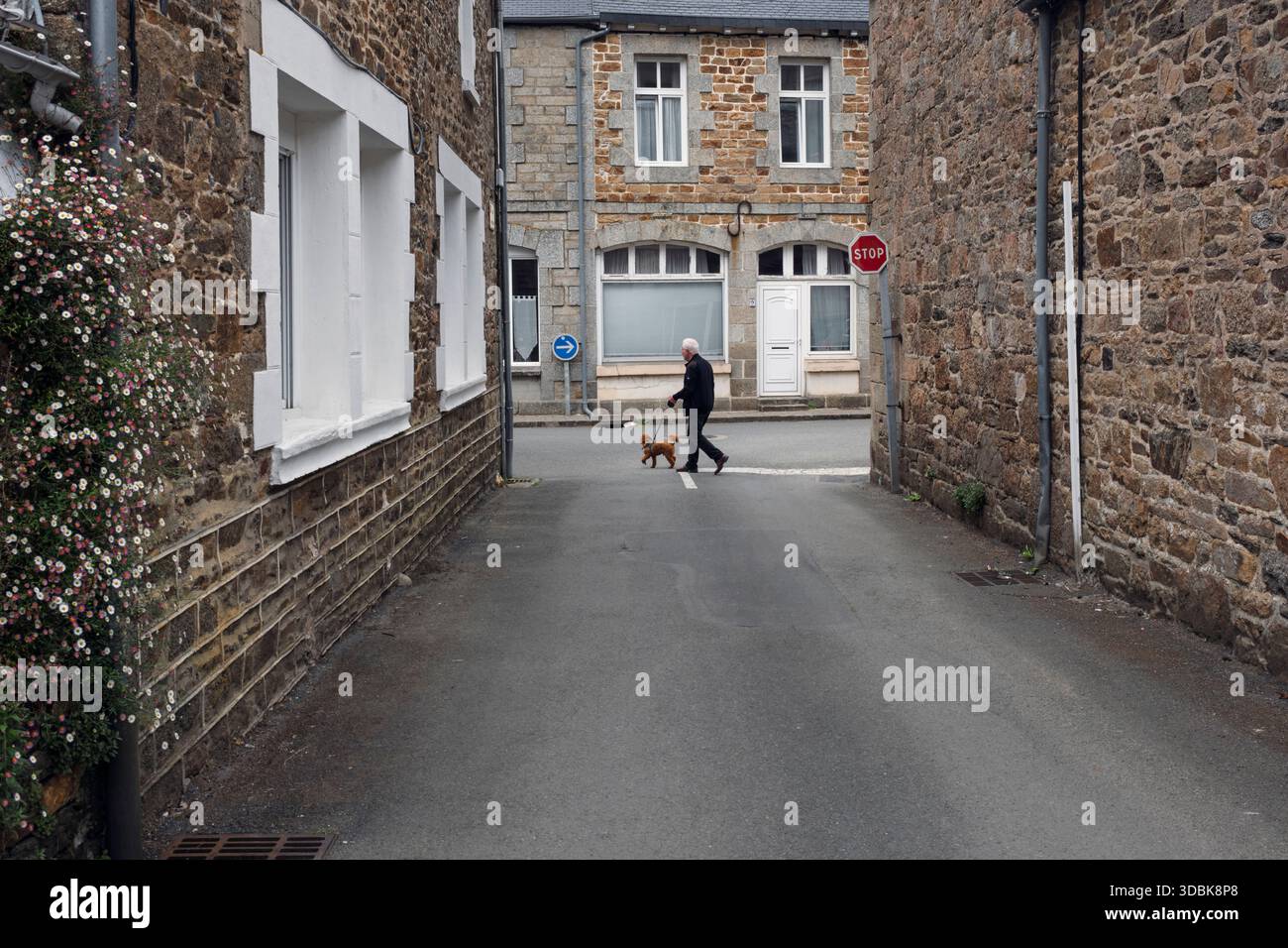 Un homme promenant son chien à belle-Isle-en-Terre, Côtes-d'Armor, Bretagne, France Banque D'Images