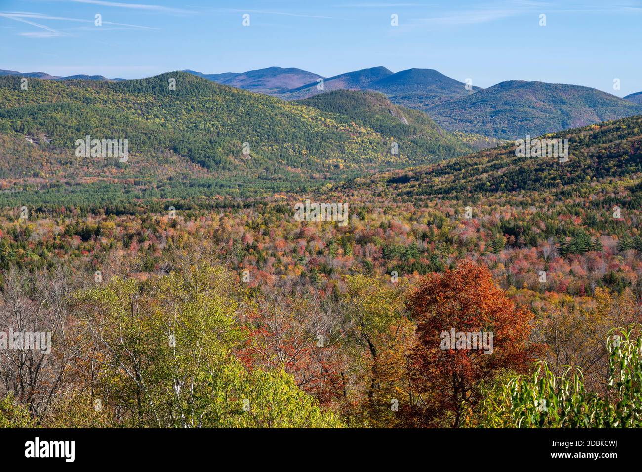 Vue depuis Bear Notch, White Mountains, New Hampshire Banque D'Images