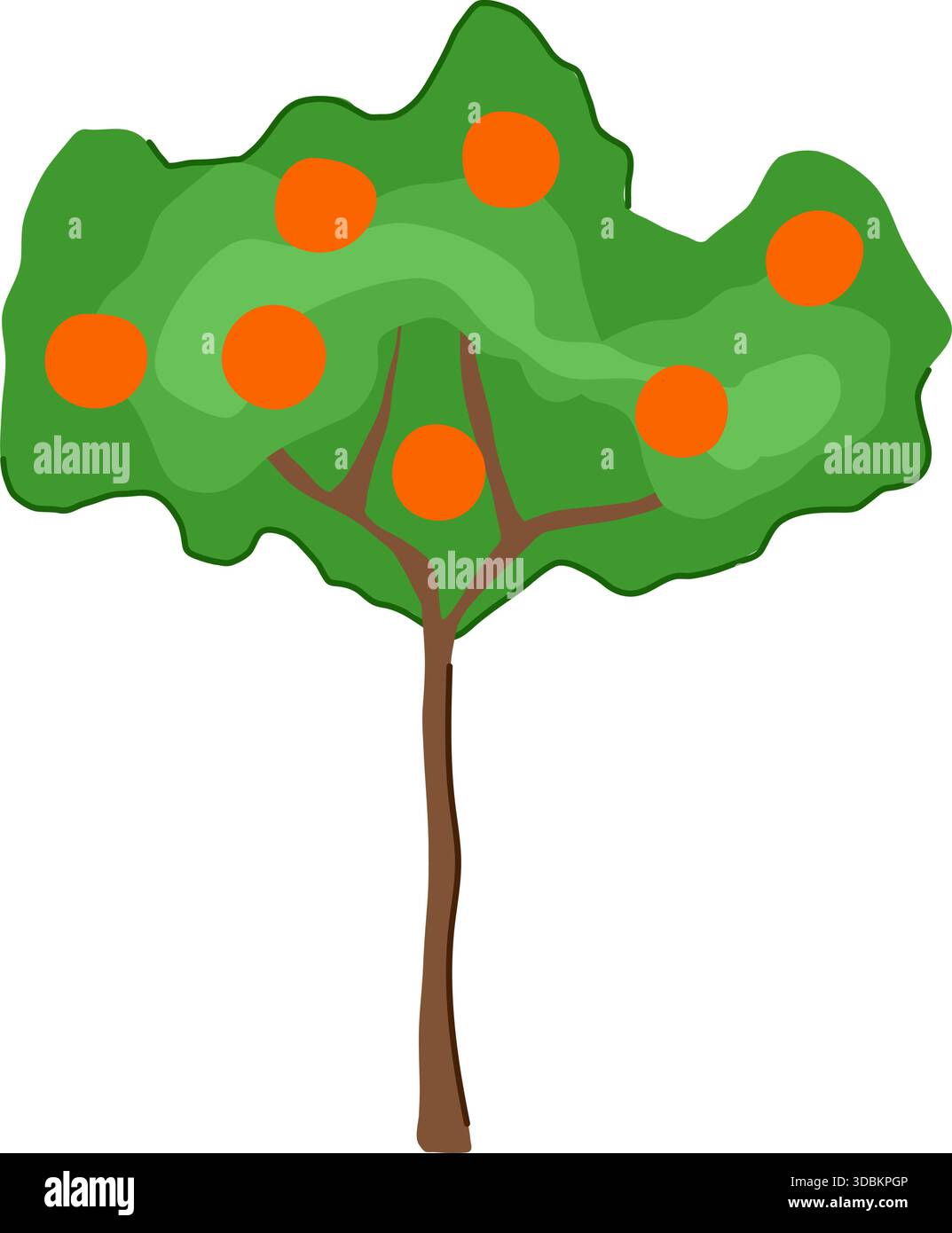 Illustration de bande dessinée d'agrumes de croissance d'arbre fruitier orange Illustration de Vecteur