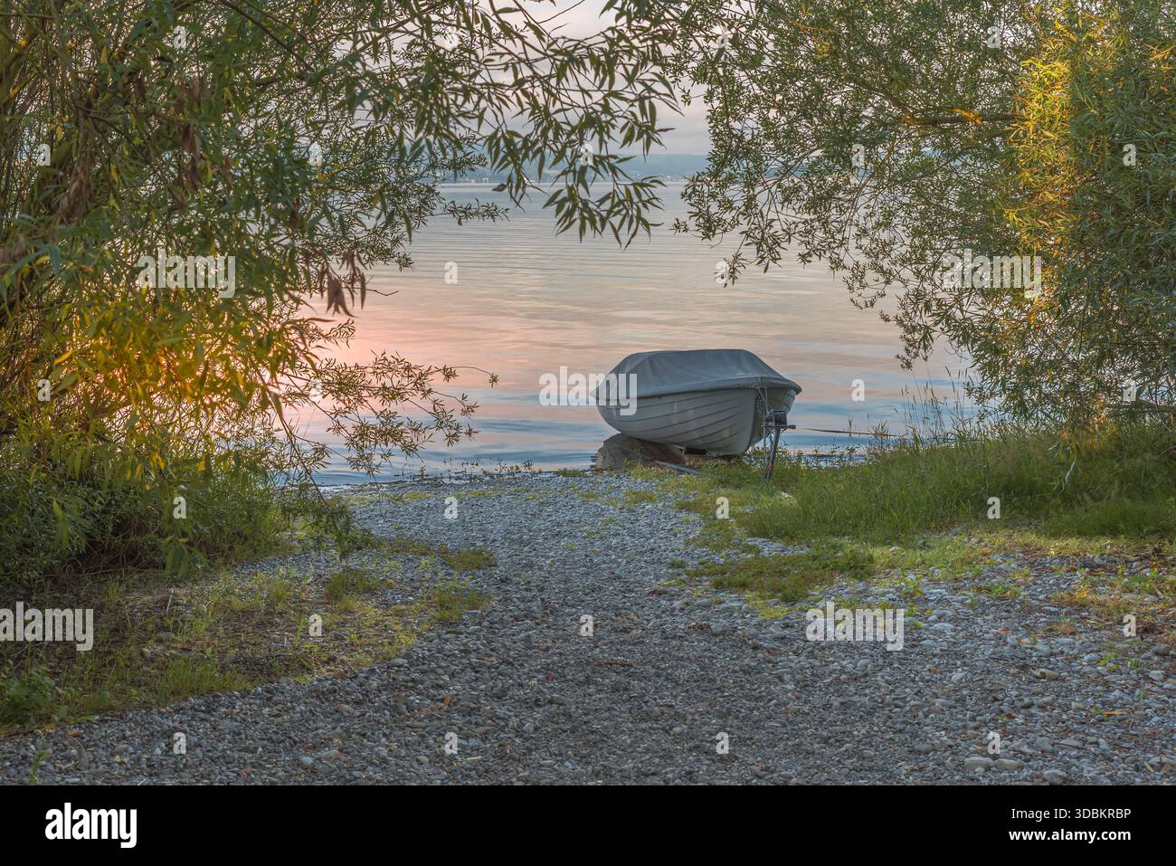 Bateau à rames sur la rive de l'île de Reichenau, lac de Constance, Bade-Württemberg, Allemagne Banque D'Images
